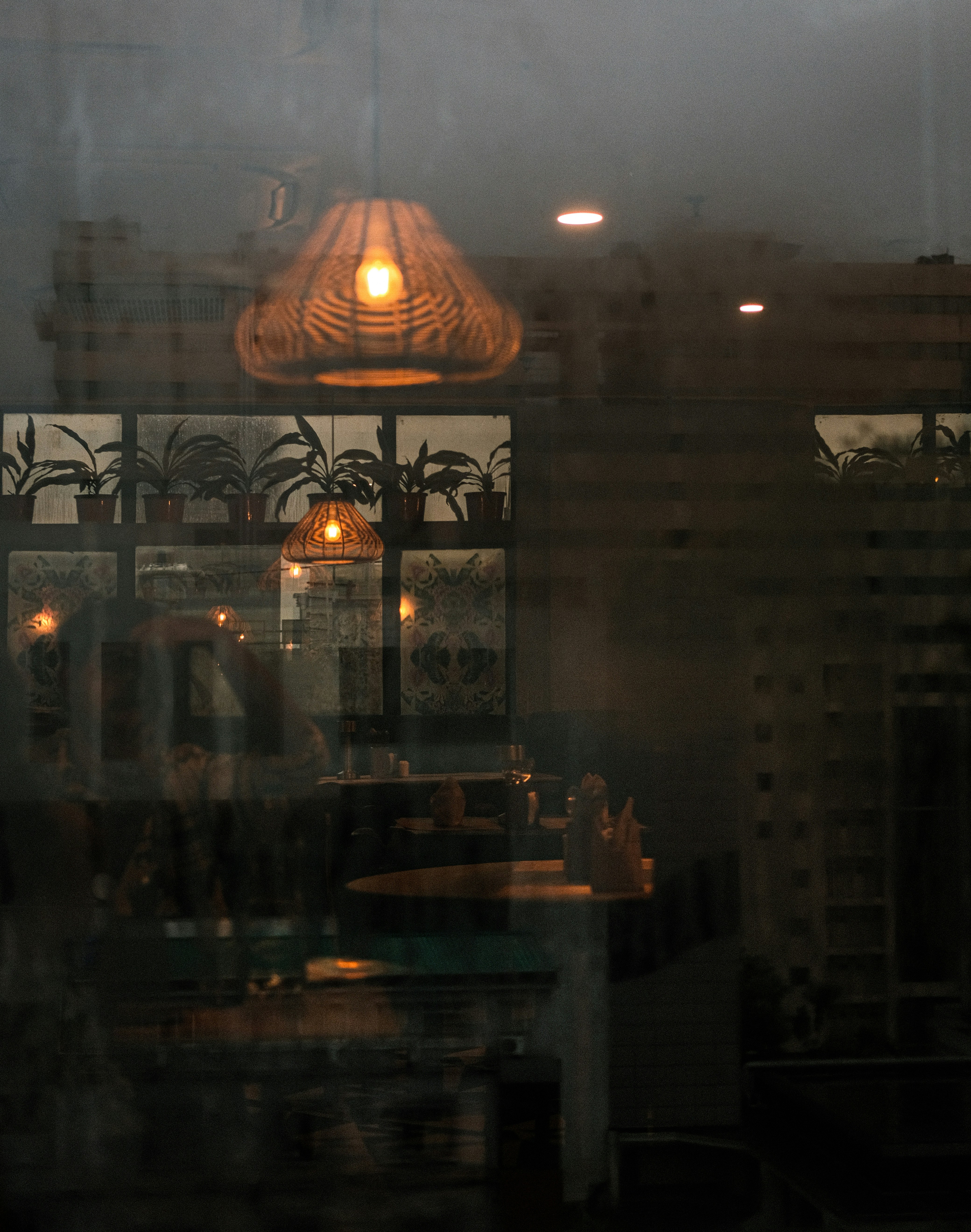 Photo by __potatomato__