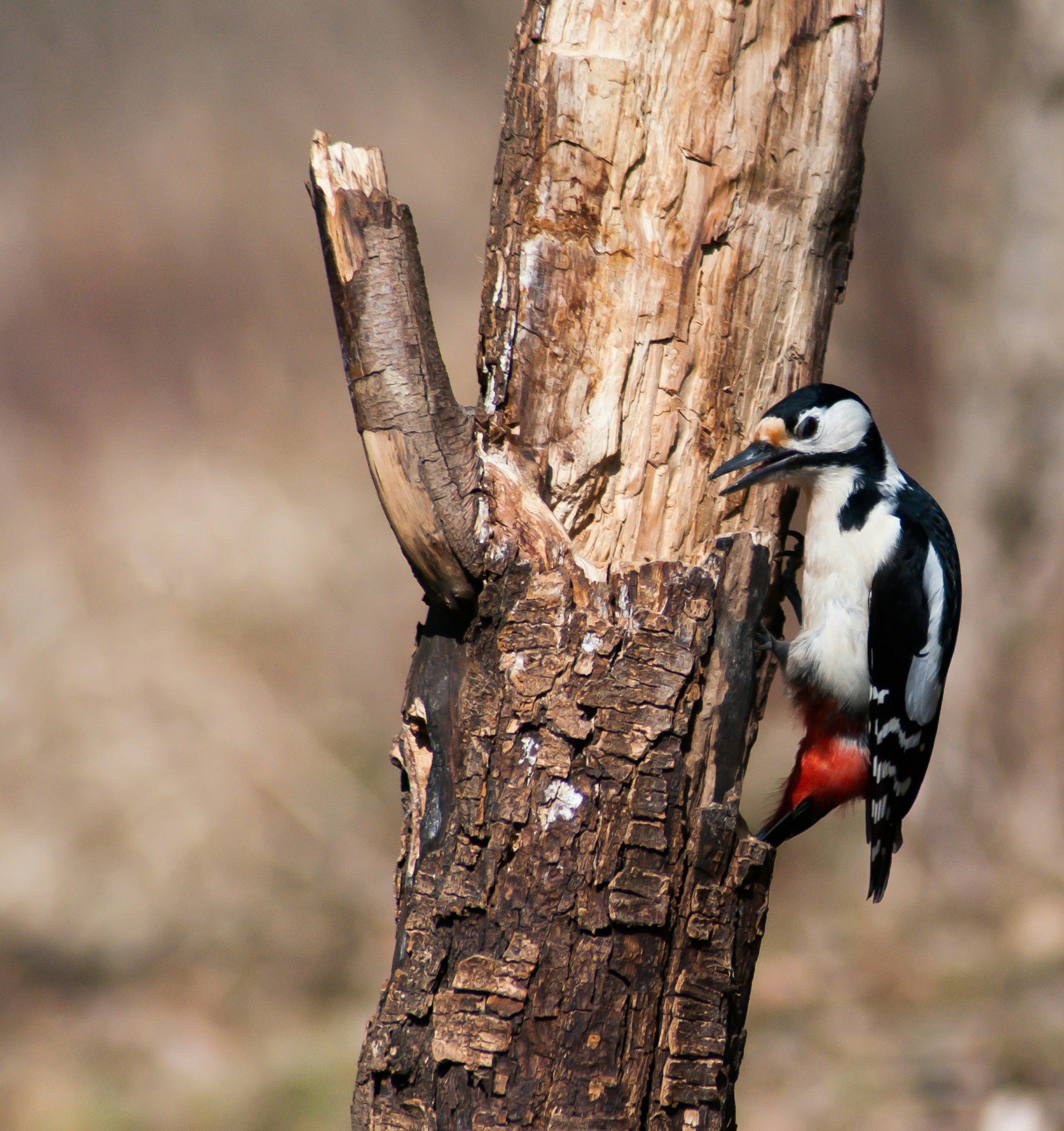 Photo by davidewildphoto