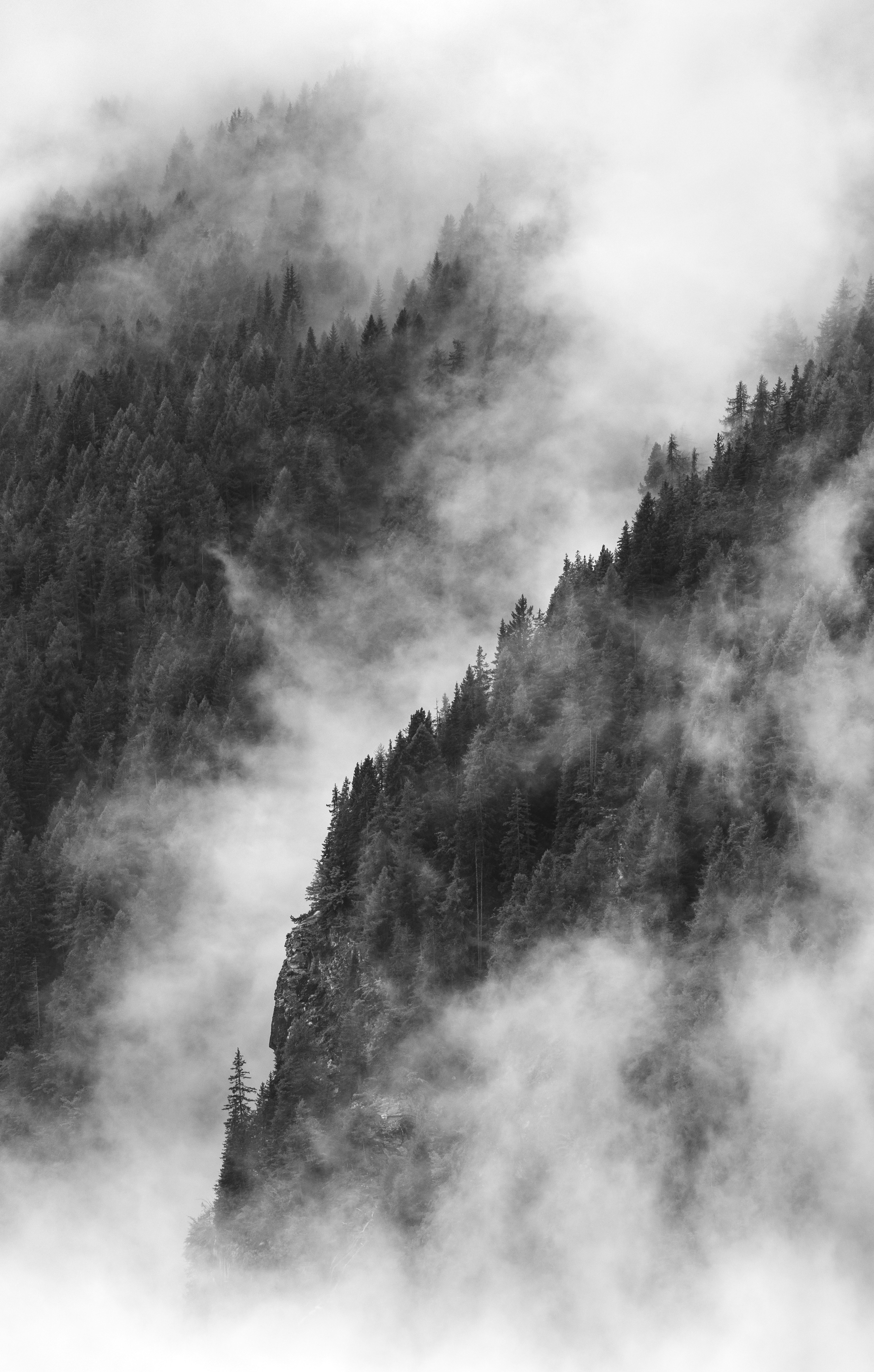 Foggy mountains with trees partially visible.