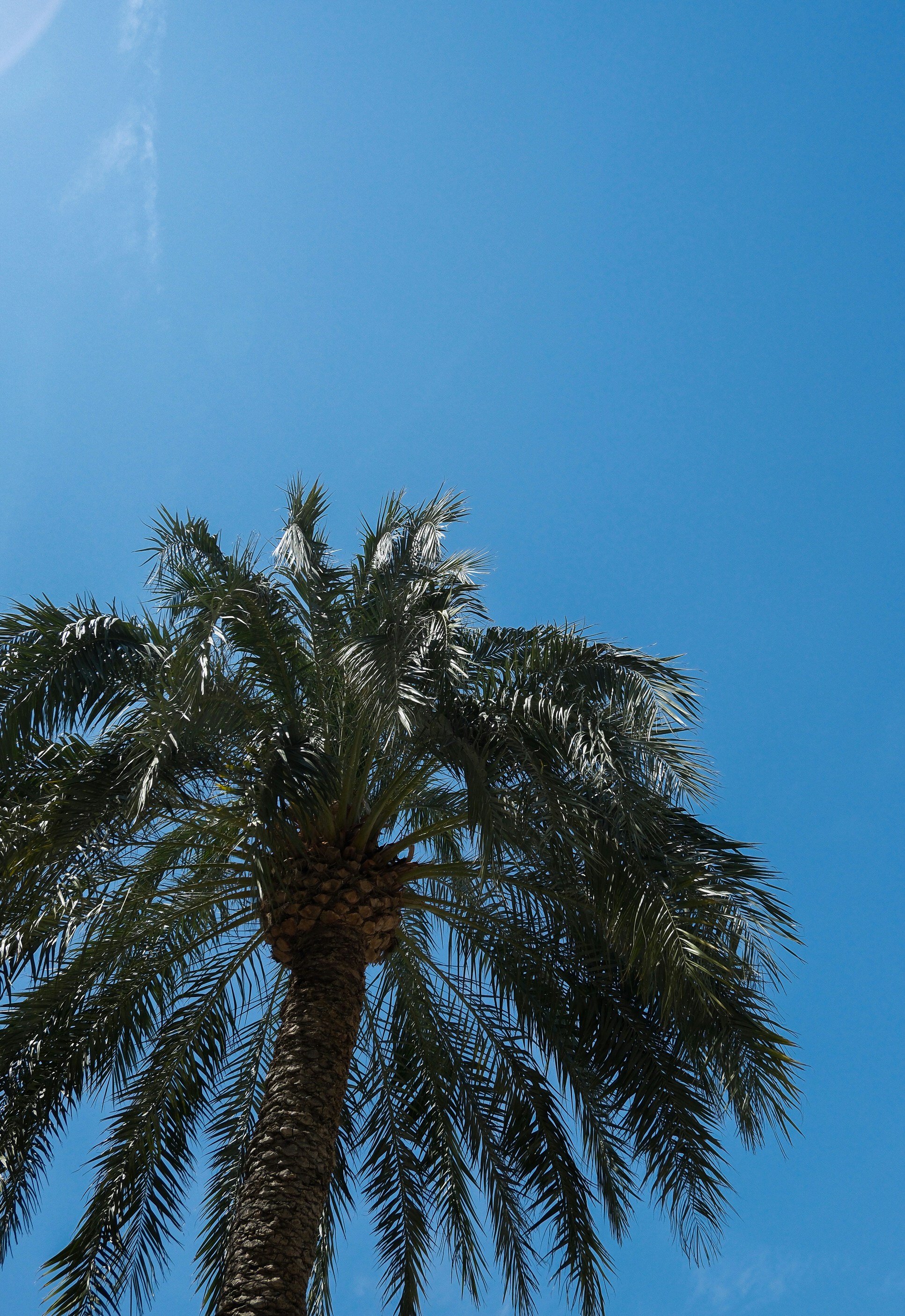 Photo by raulmermans