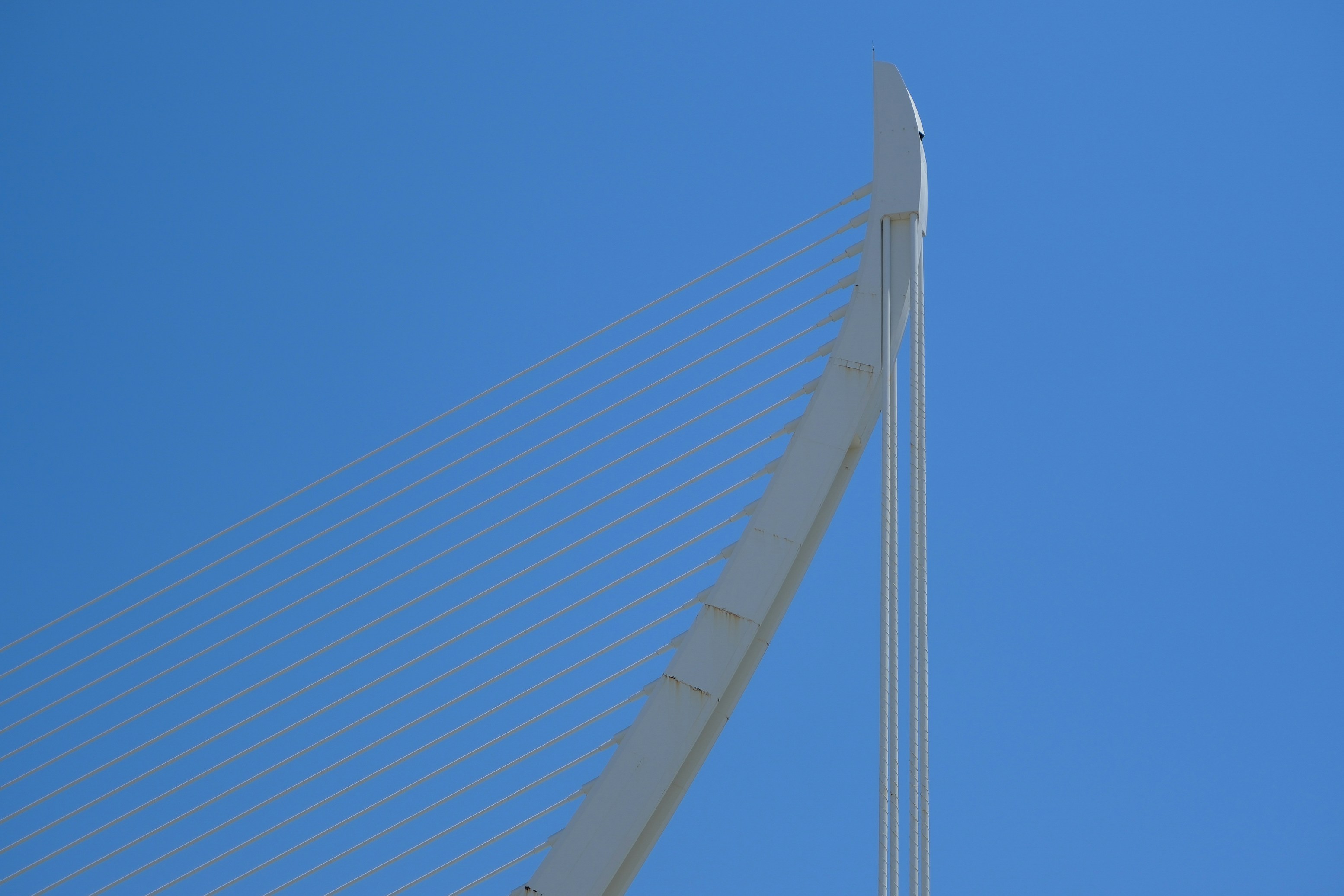 Photo by raulmermans