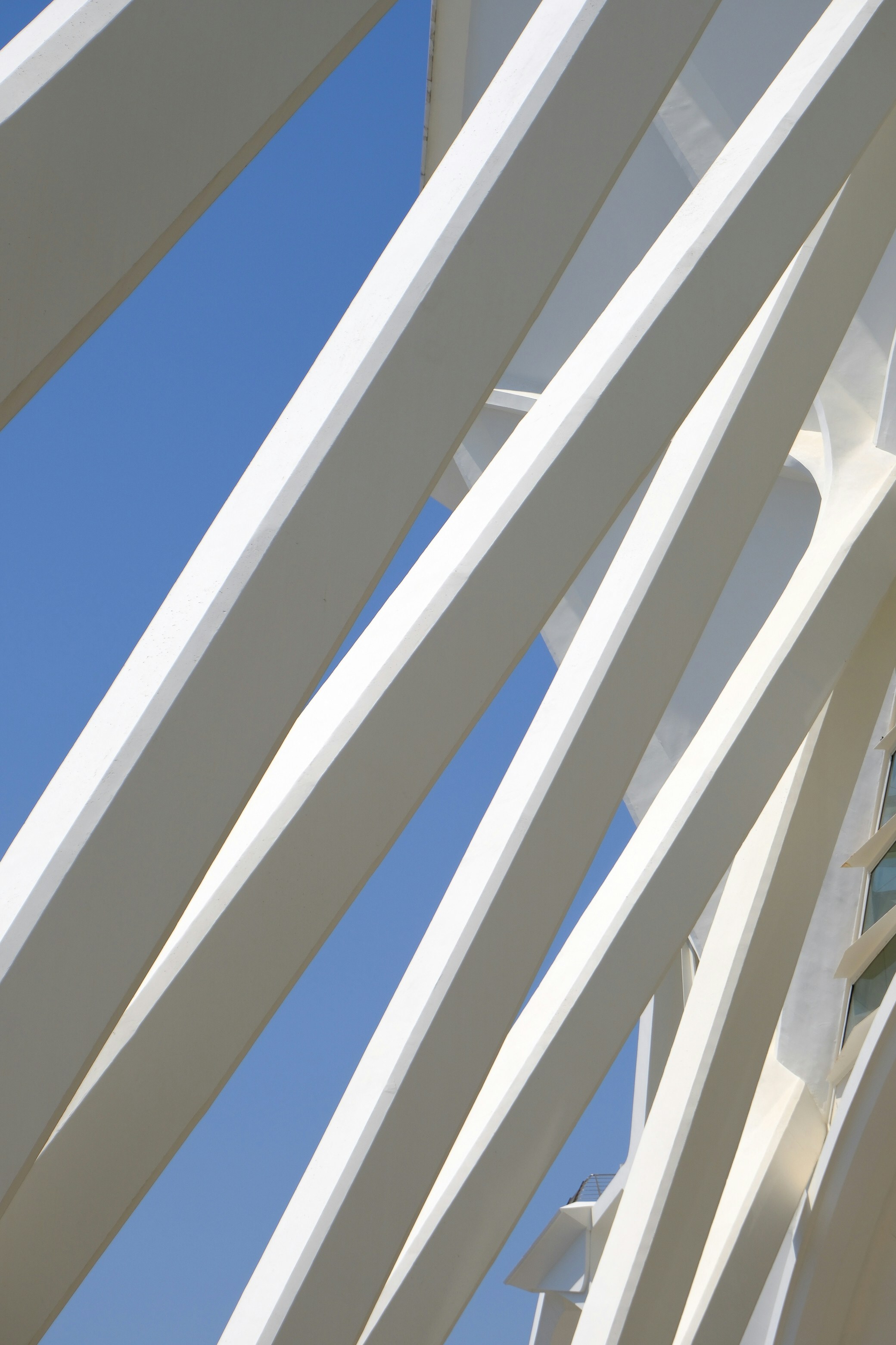 Photo by raulmermans