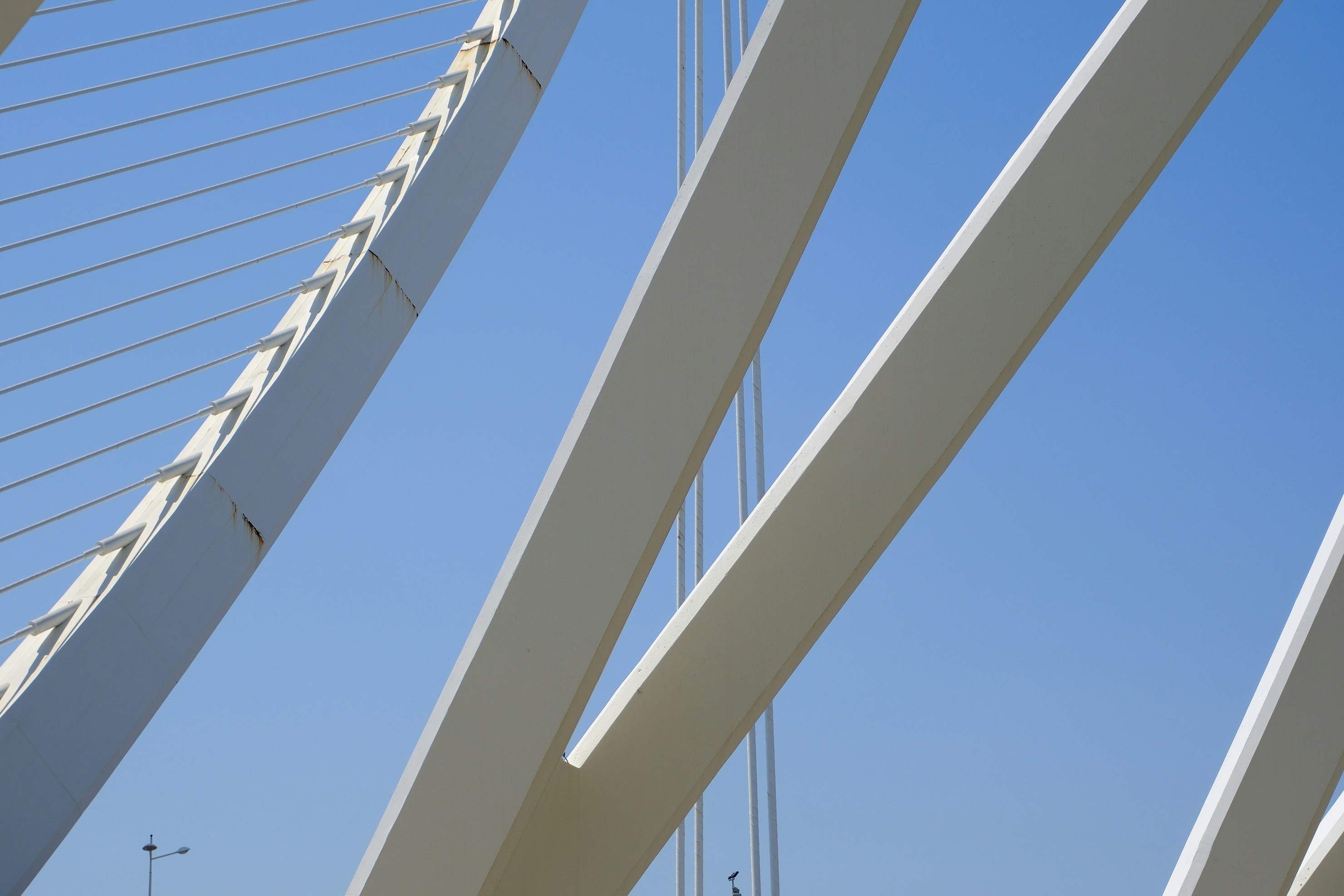 Photo by raulmermans