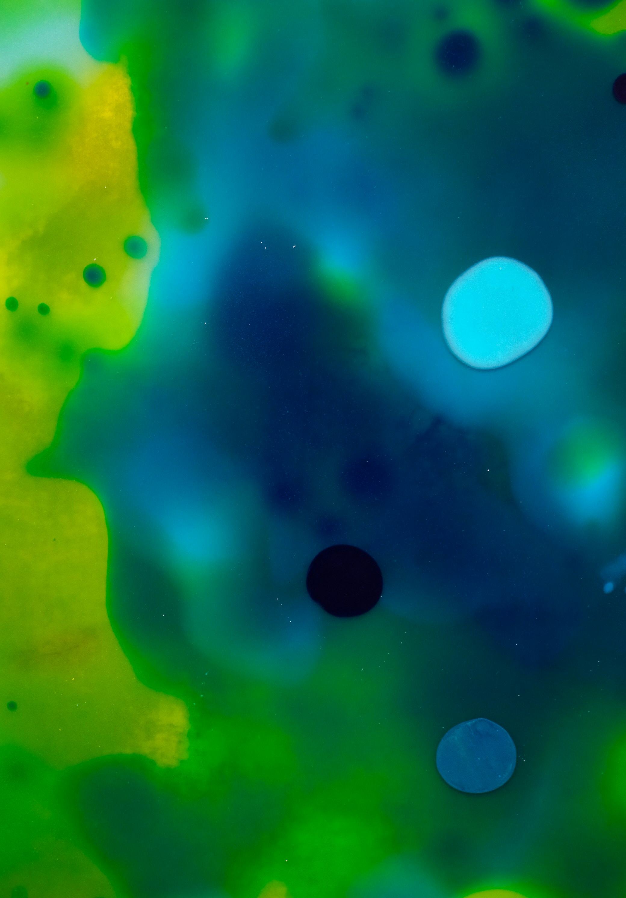 Photo by raulmermans