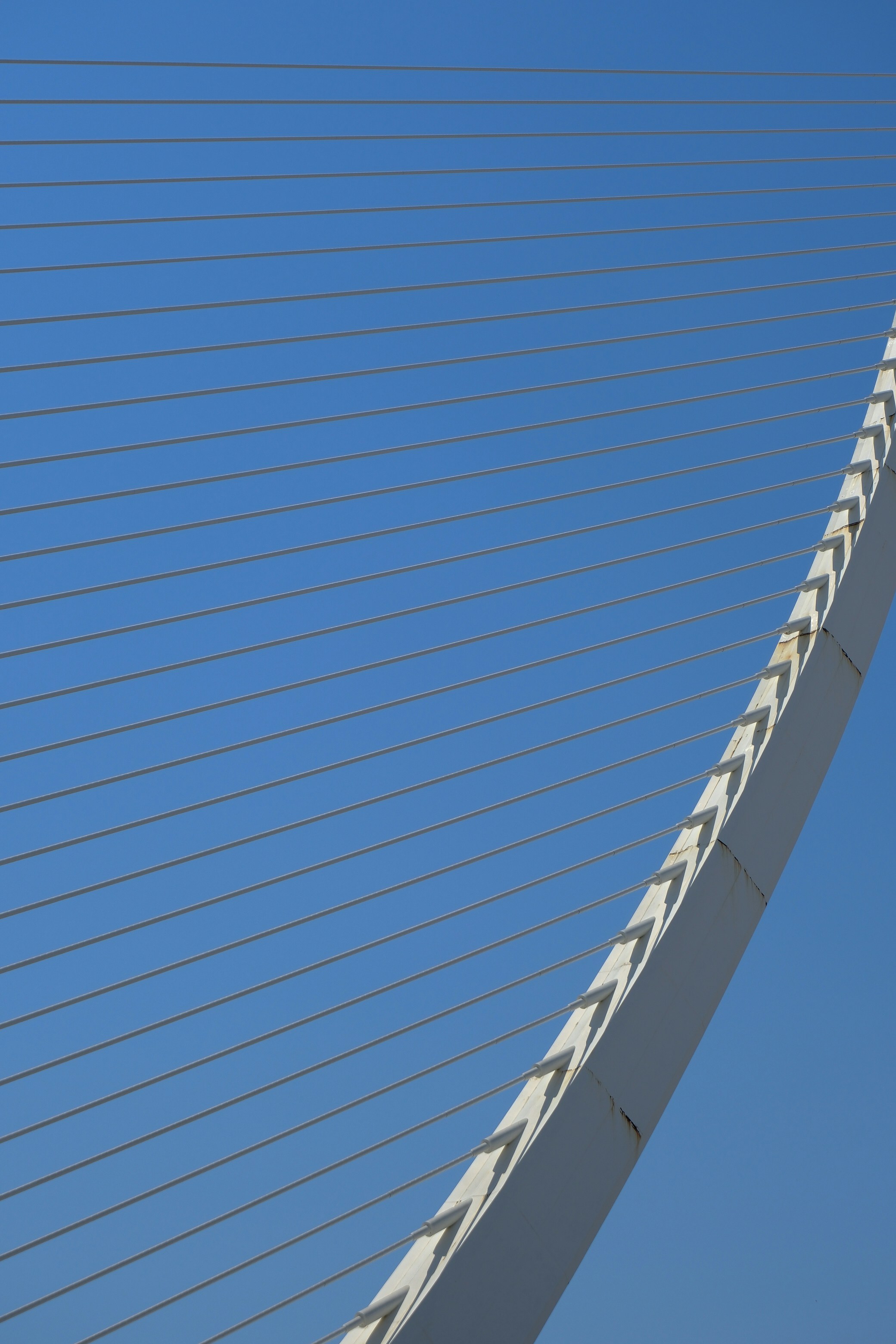 Photo by raulmermans