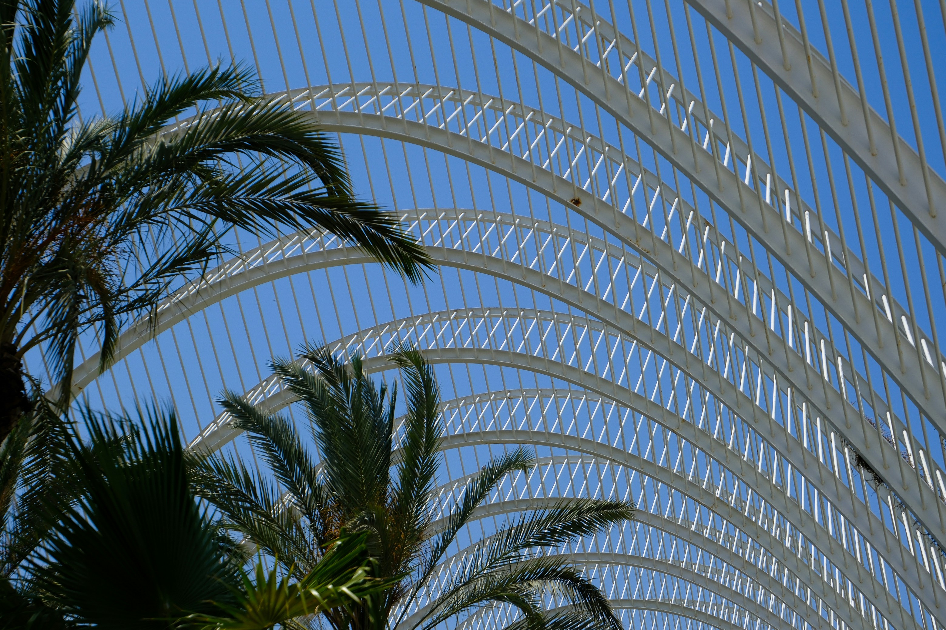 Photo by raulmermans