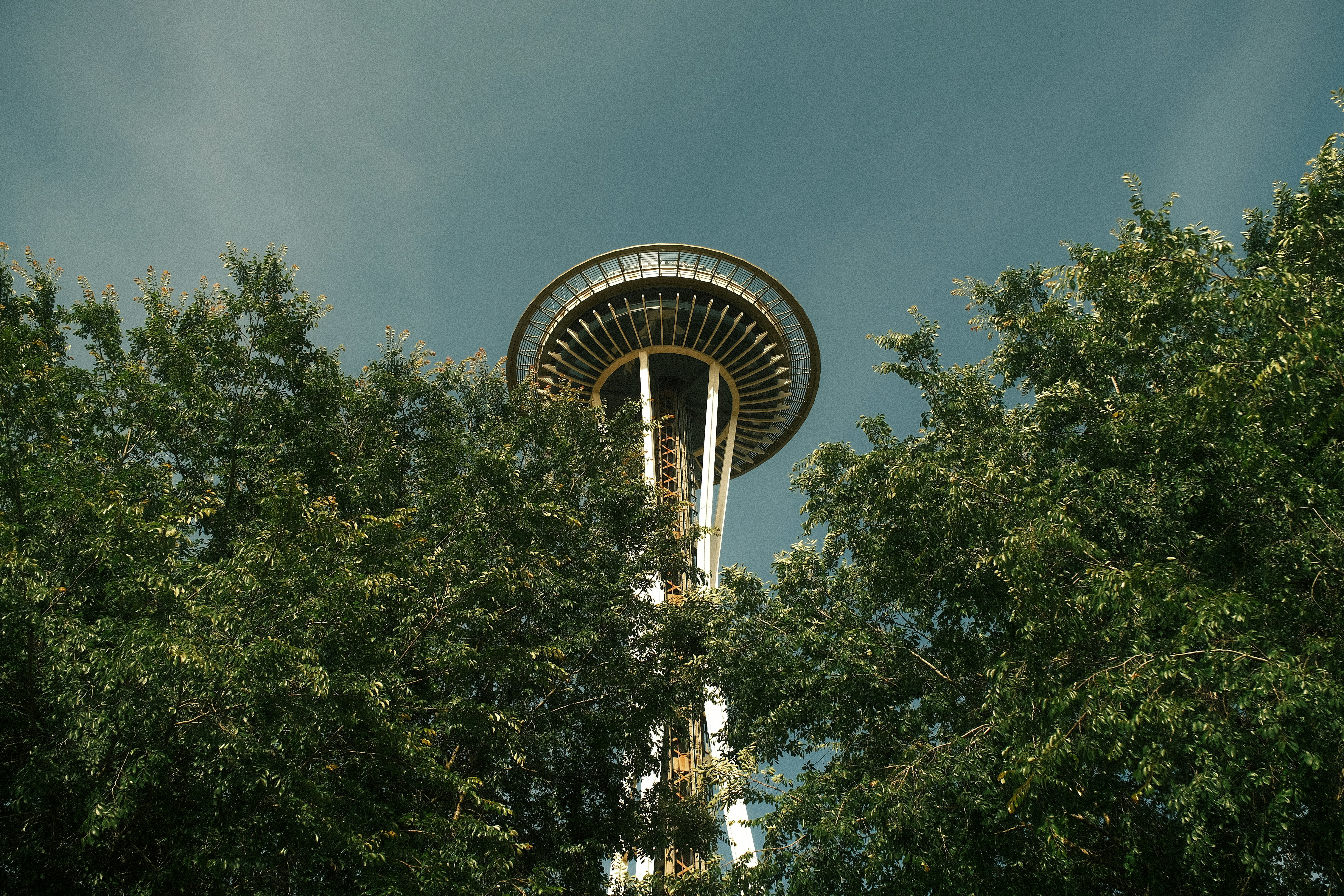 Photo by samanthacasm