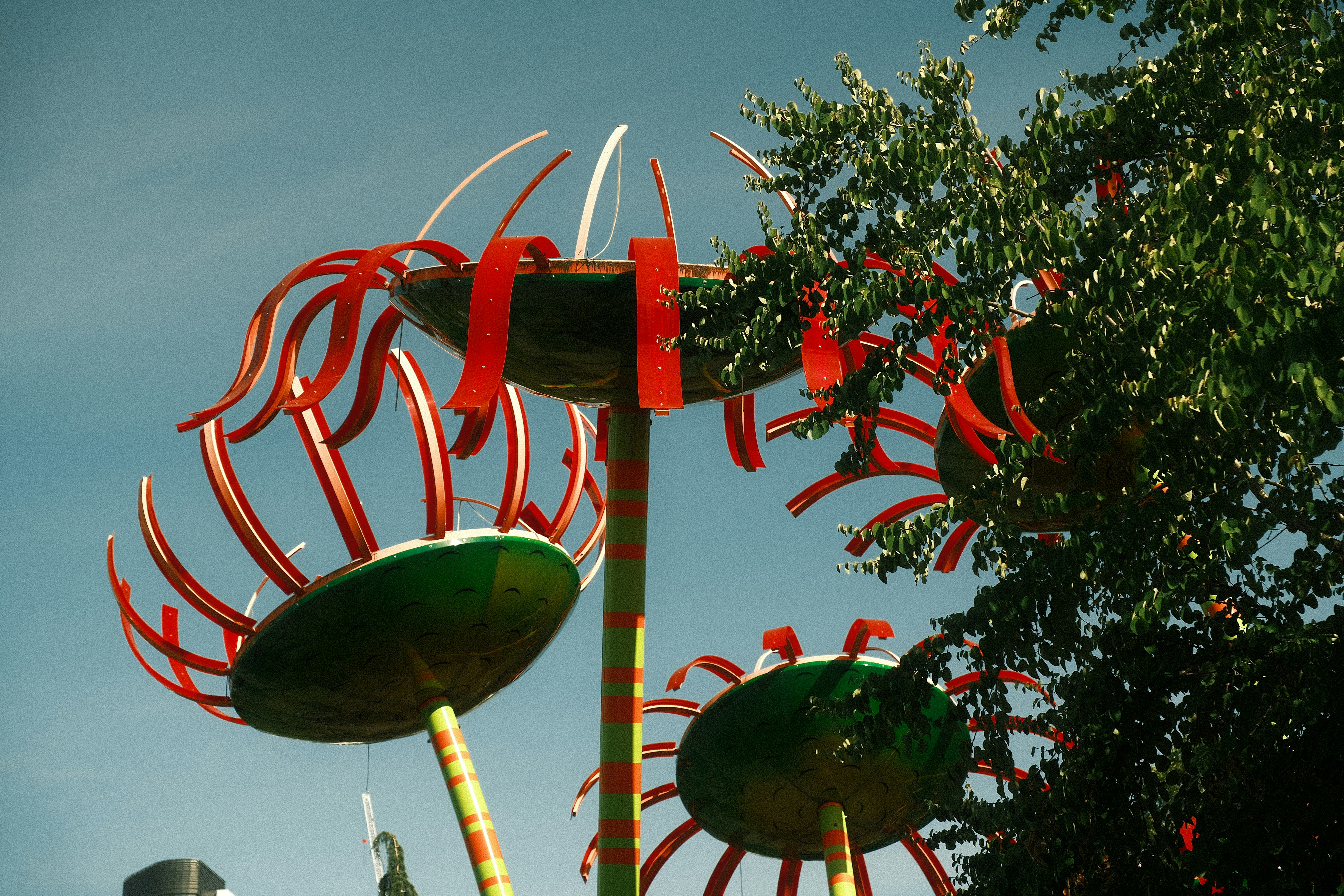 Photo by samanthacasm