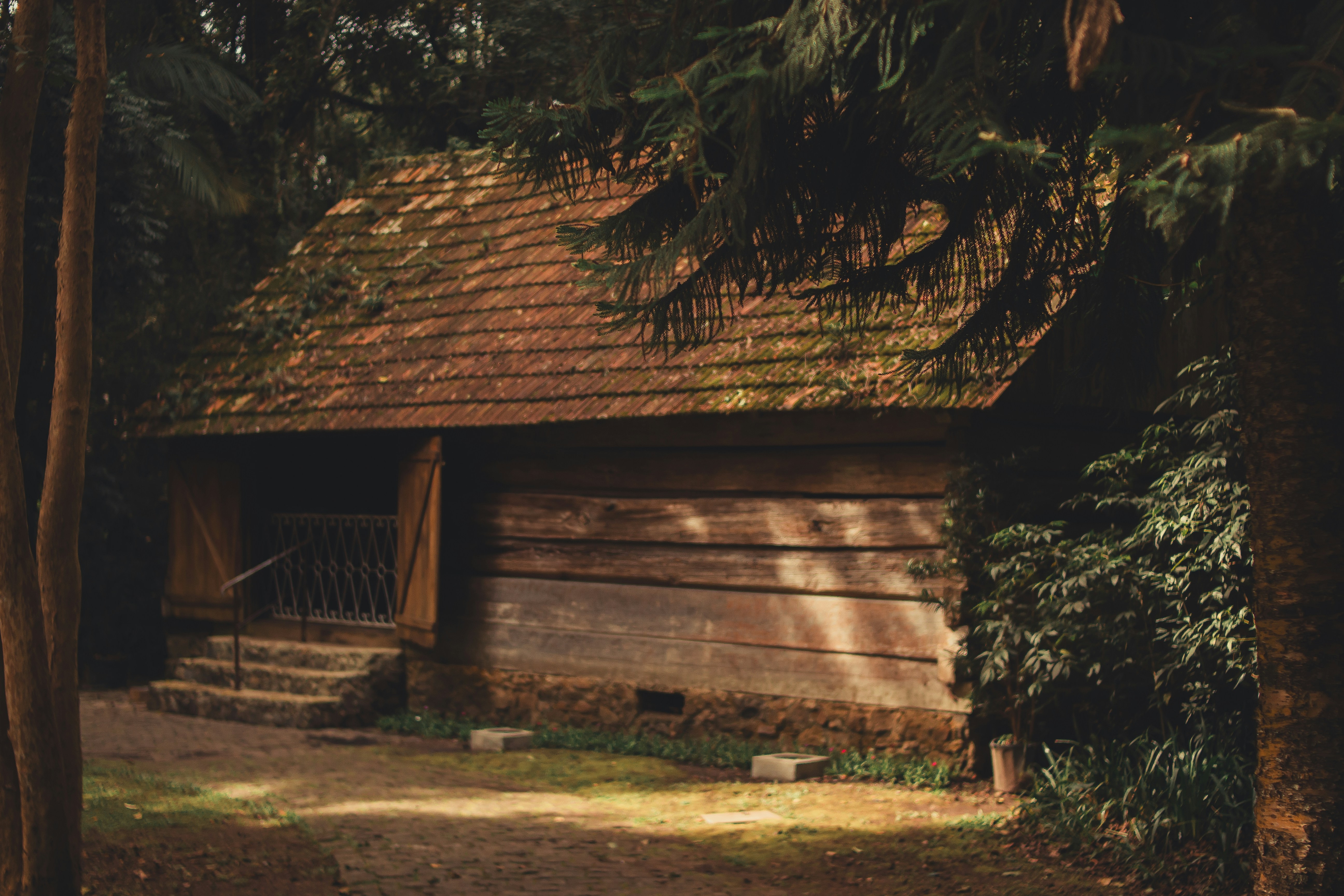 Photo by halannahalila