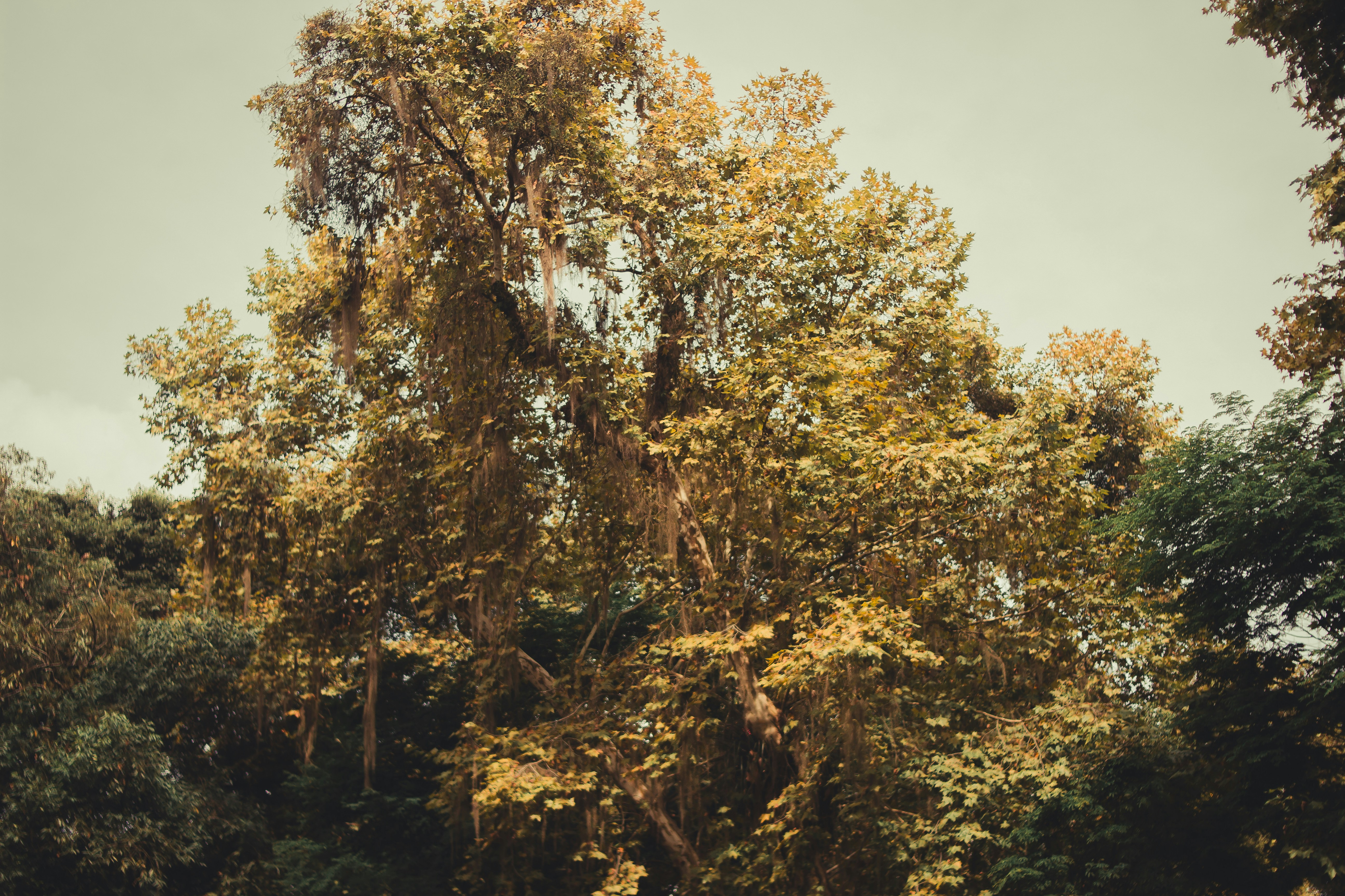 Photo by halannahalila