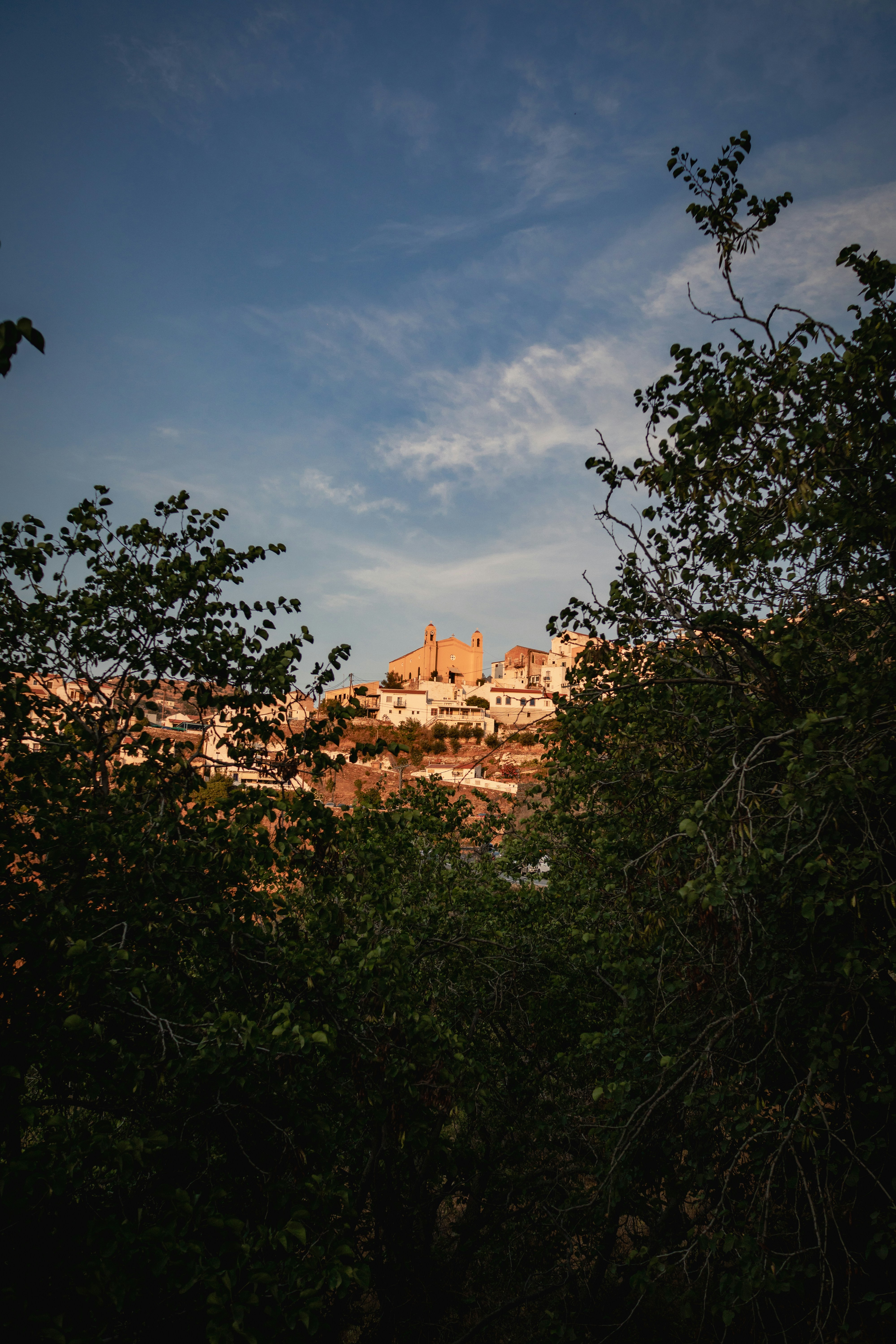 Photo by digital_m_art_in