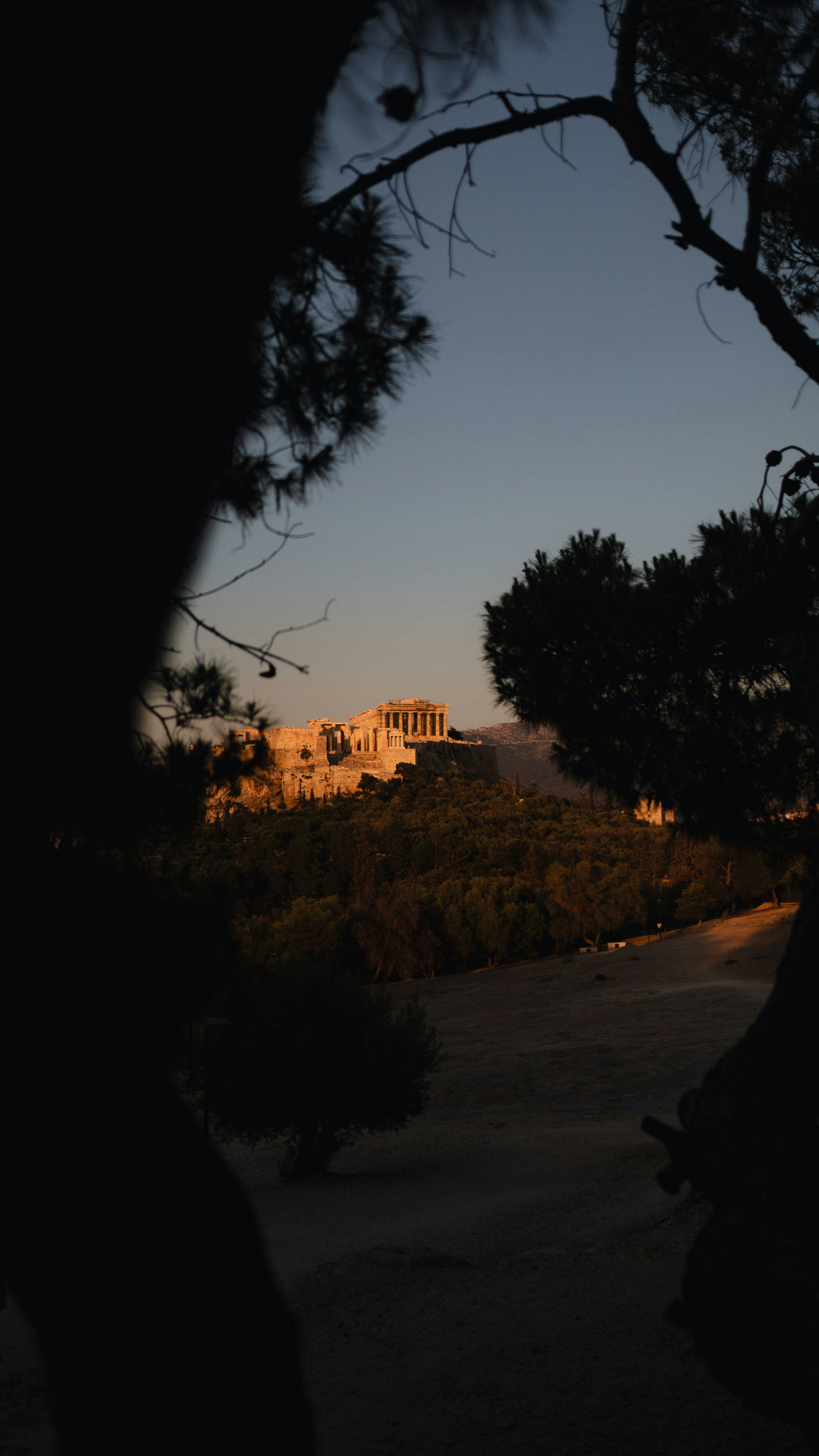 Photo by digital_m_art_in