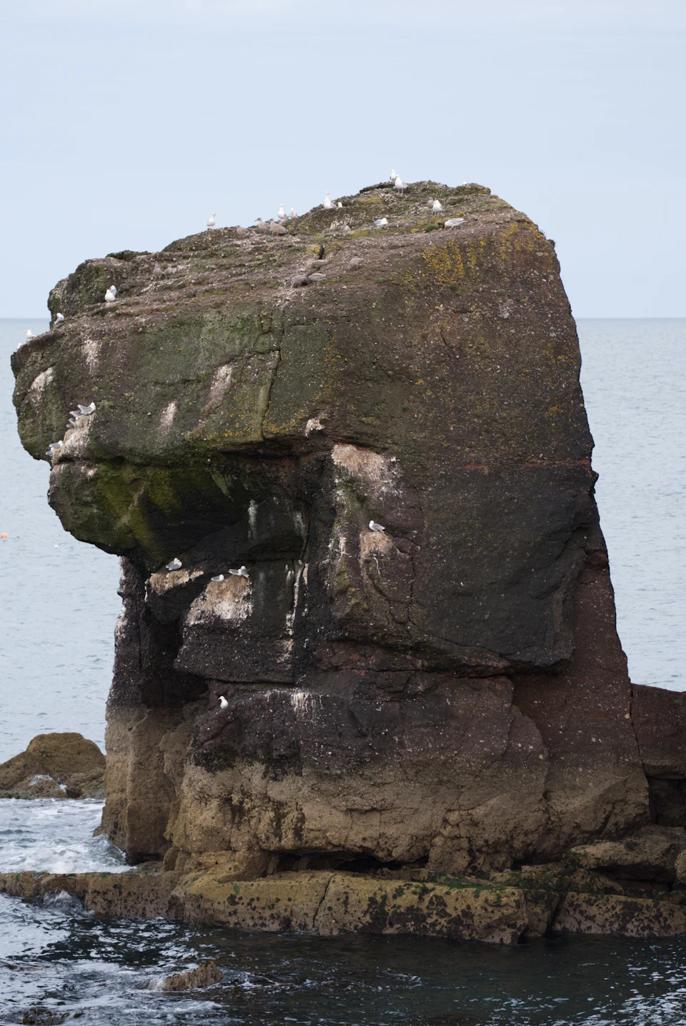 The image depicts a large, moss-covered rock jutting out into the ocean. The rock is situated on the right side of the frame and stands out against the backdrop of the deep blue sea. Several birds can be seen perched on the rock's surface, adding to its natural charm. The sky above is overcast, casting a soft light that enhances the colors in the scene.