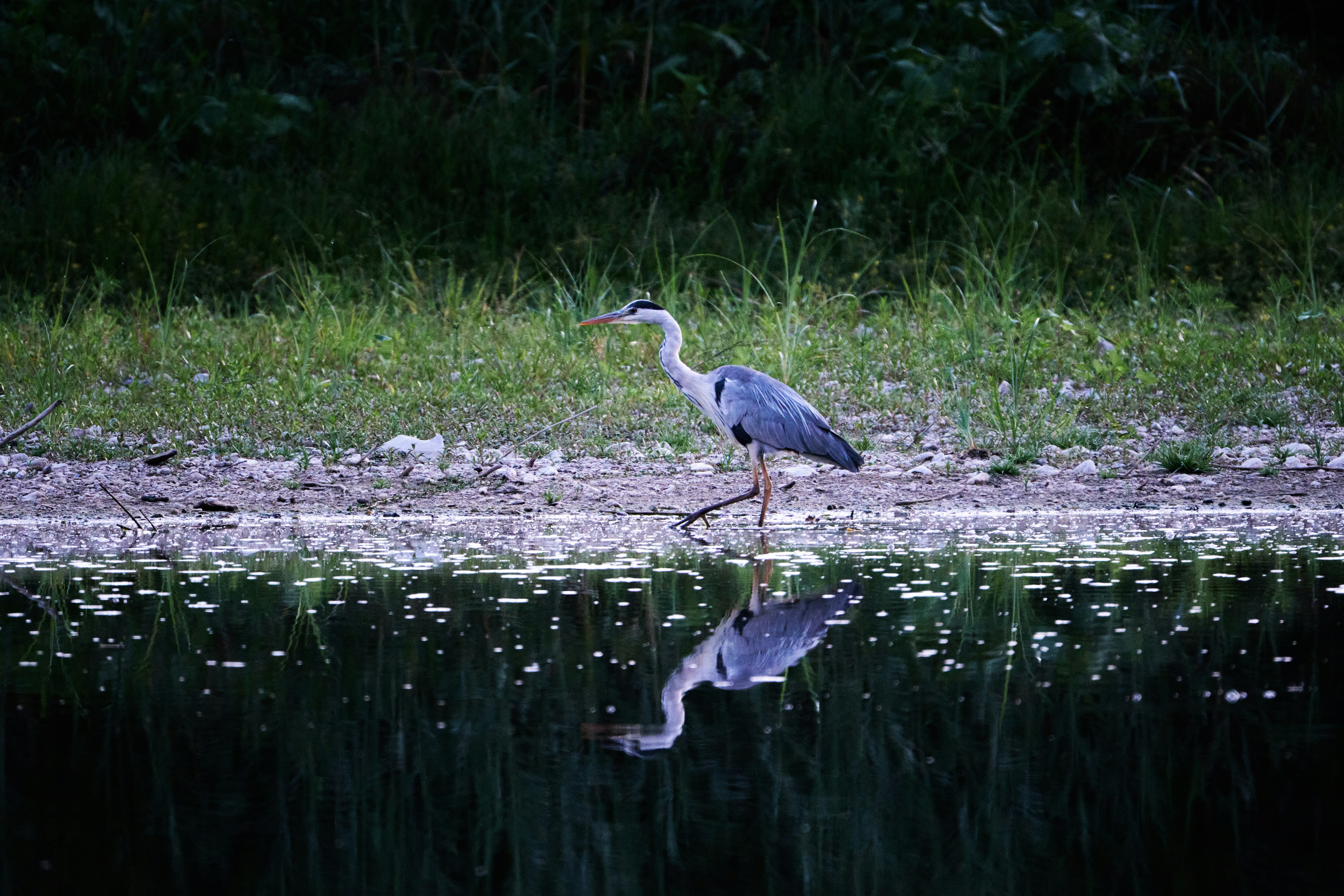 Photo by aldyrkhanov