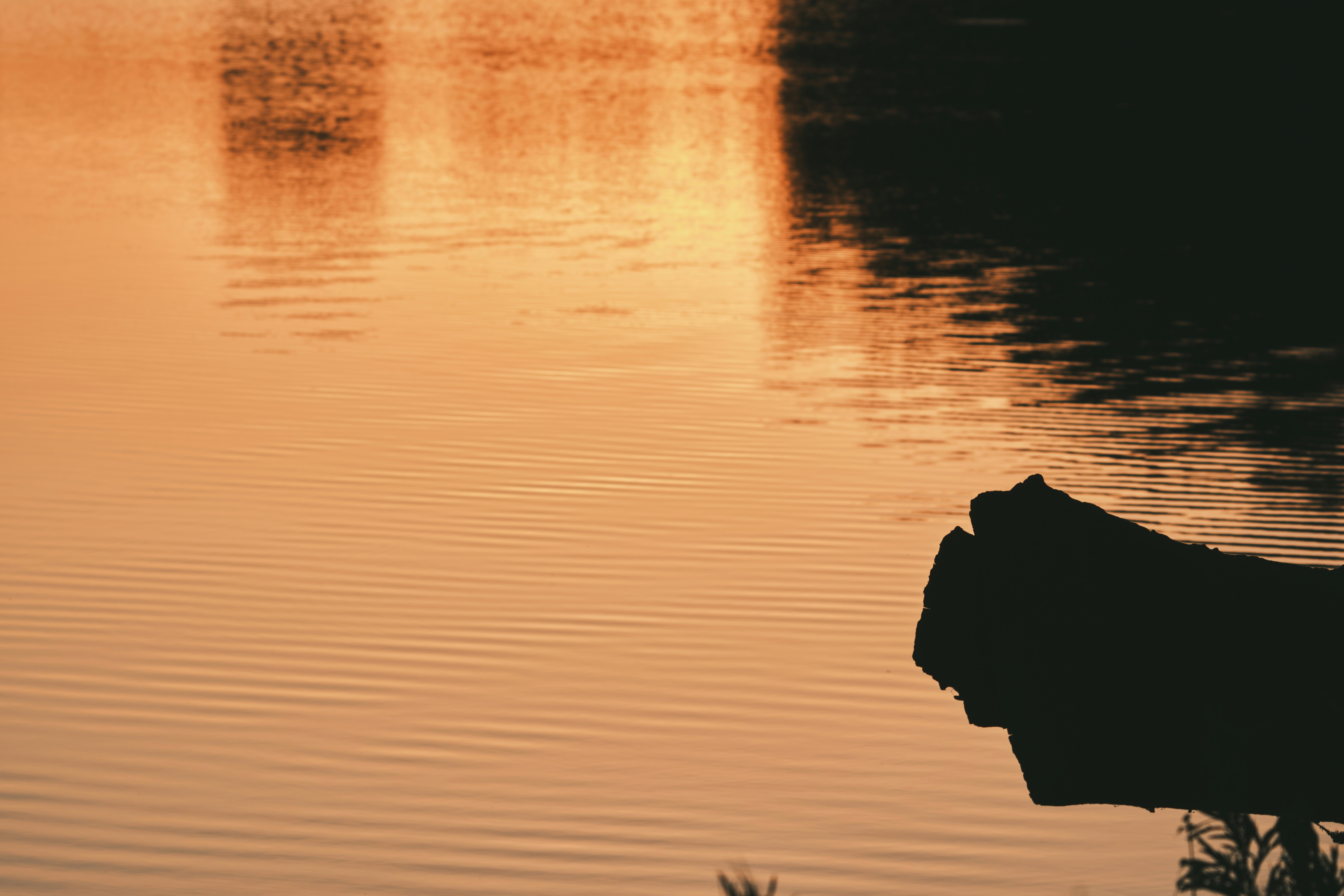 Photo by aldyrkhanov