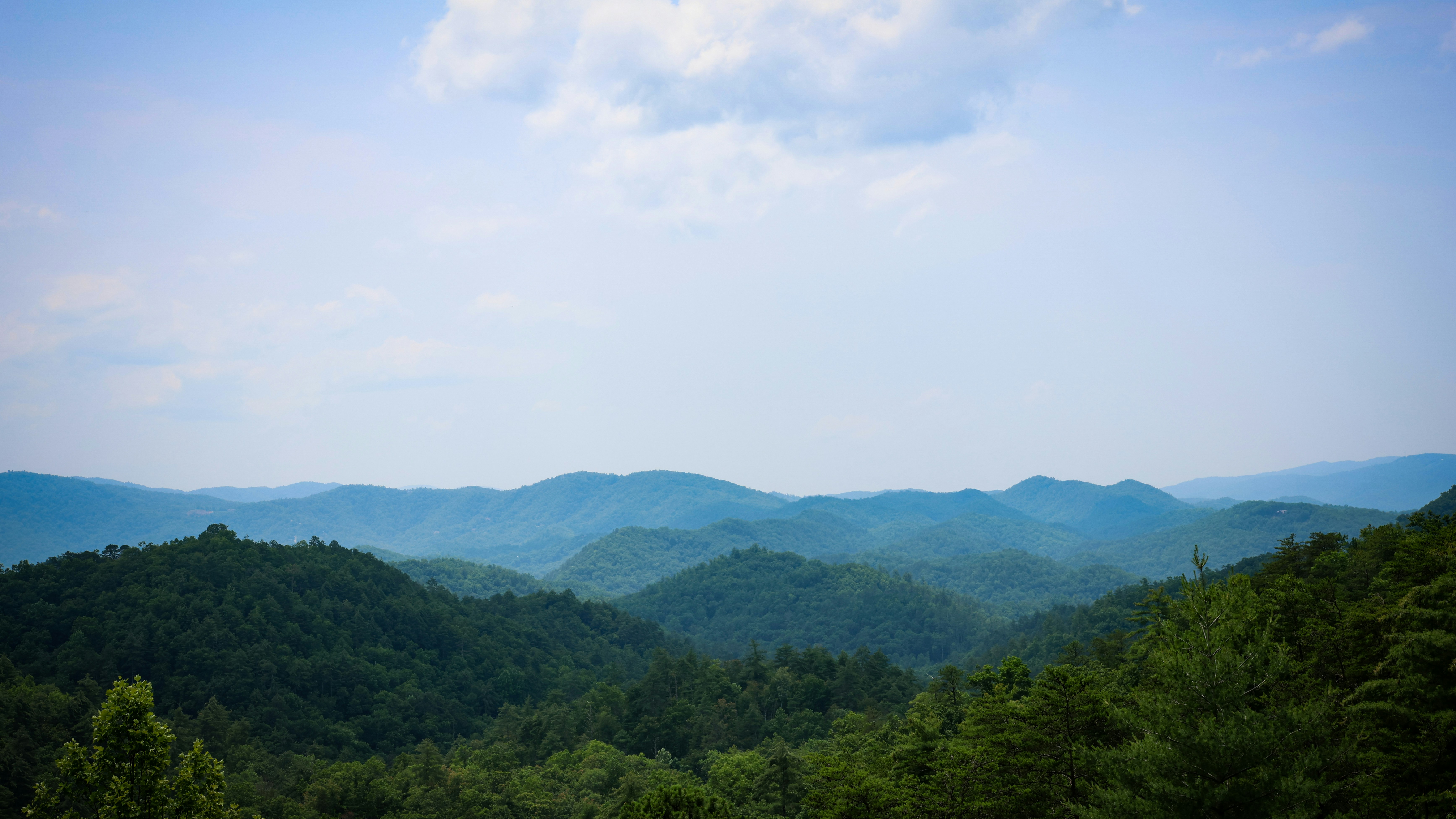 Photo by mchambers140