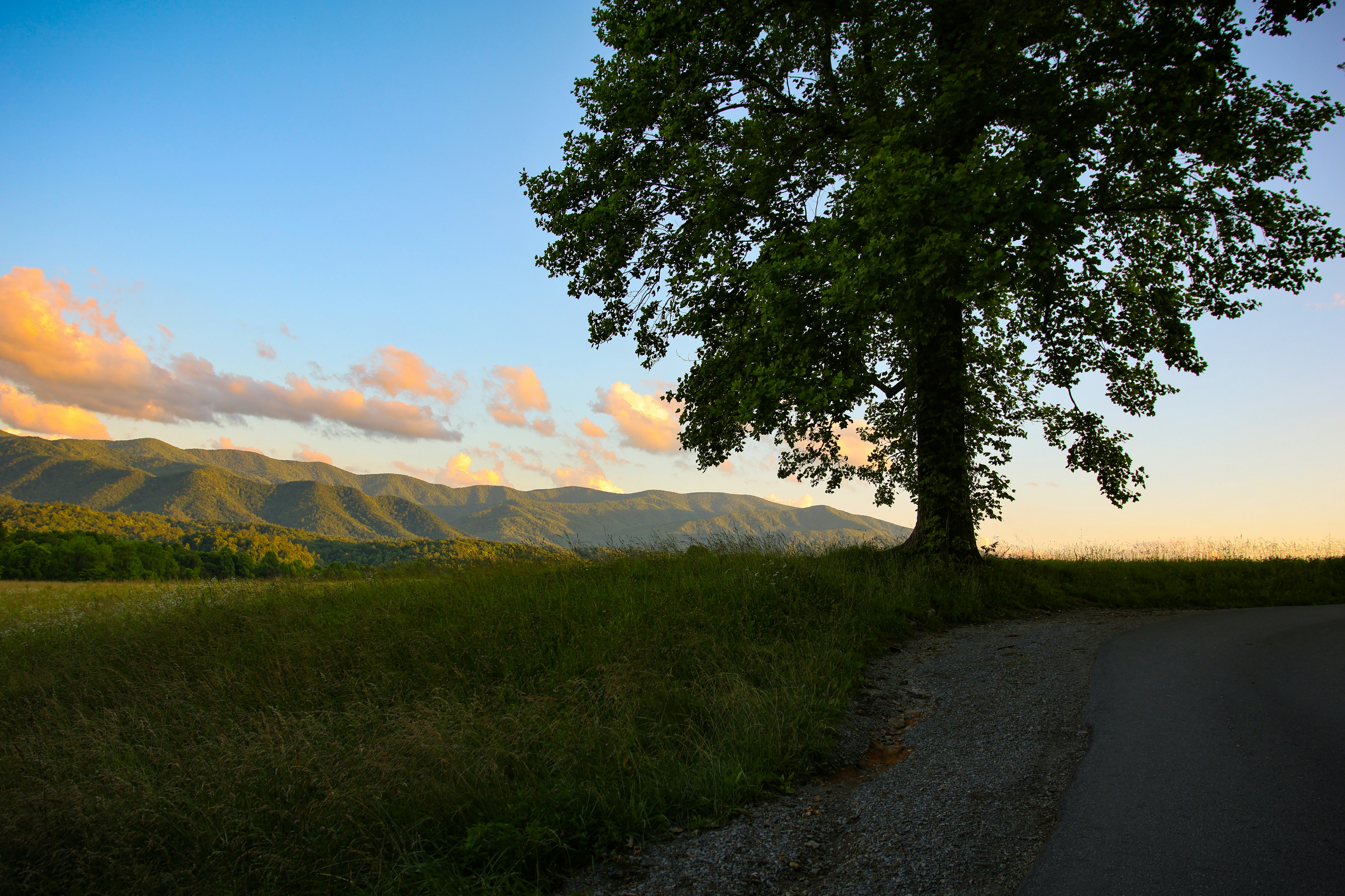 Photo by mchambers140