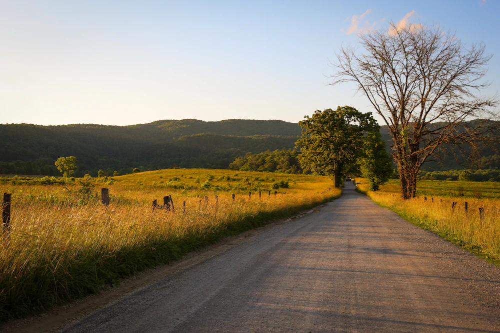 A country road through golden East Tennessee farmland with split-rail fences and mountains in the distance