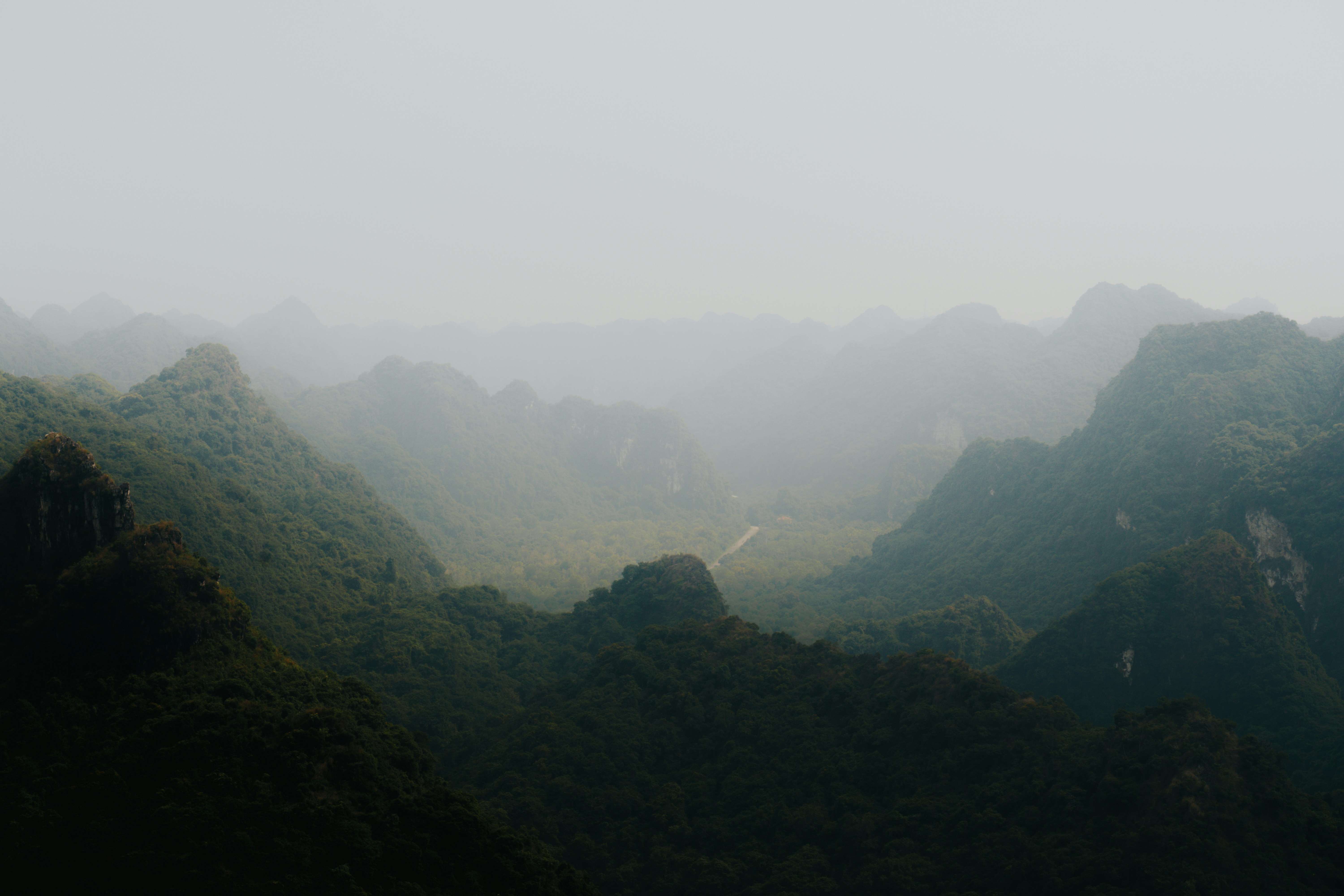 Photo by matthewryanstephenson