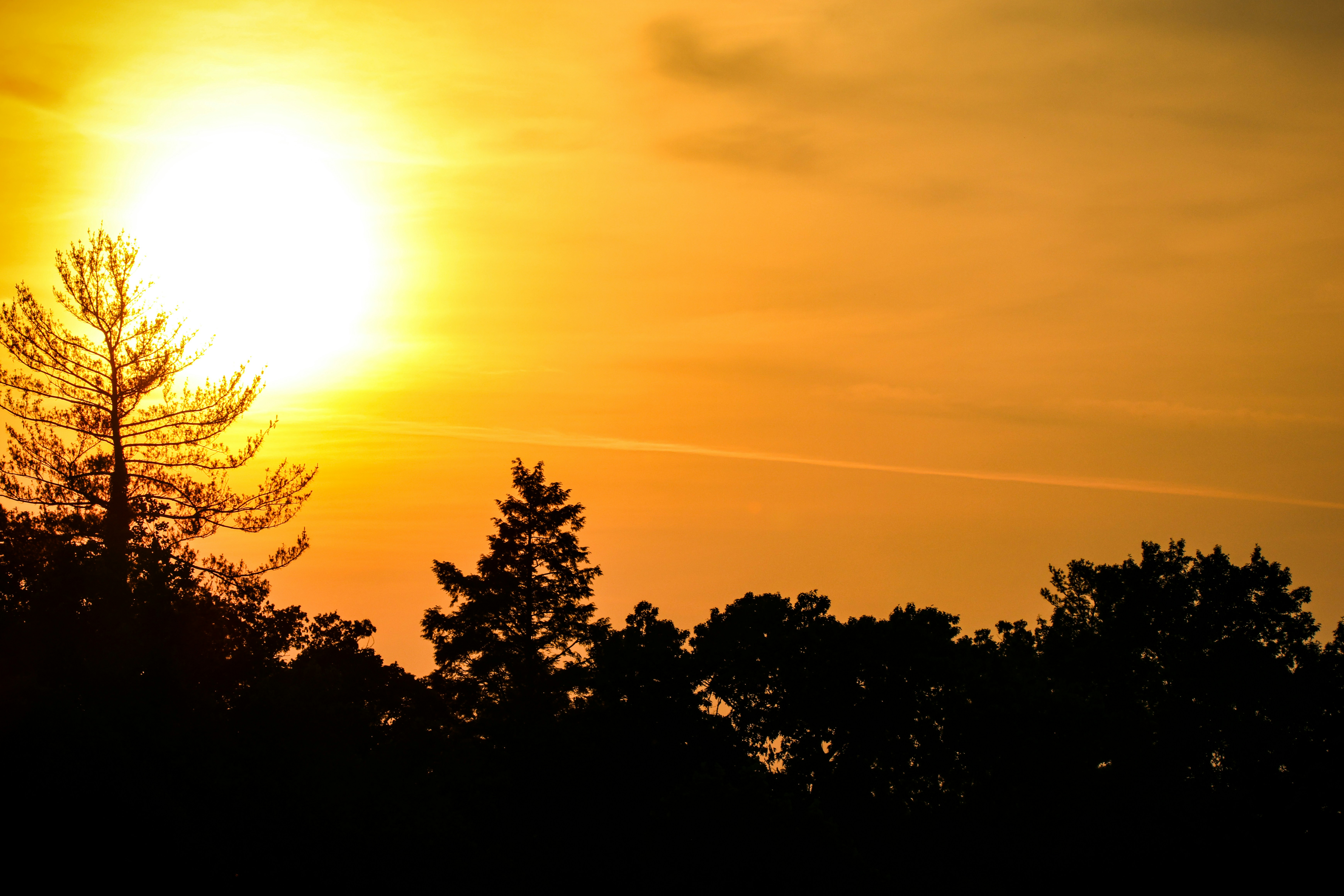 Photo by mchambers140