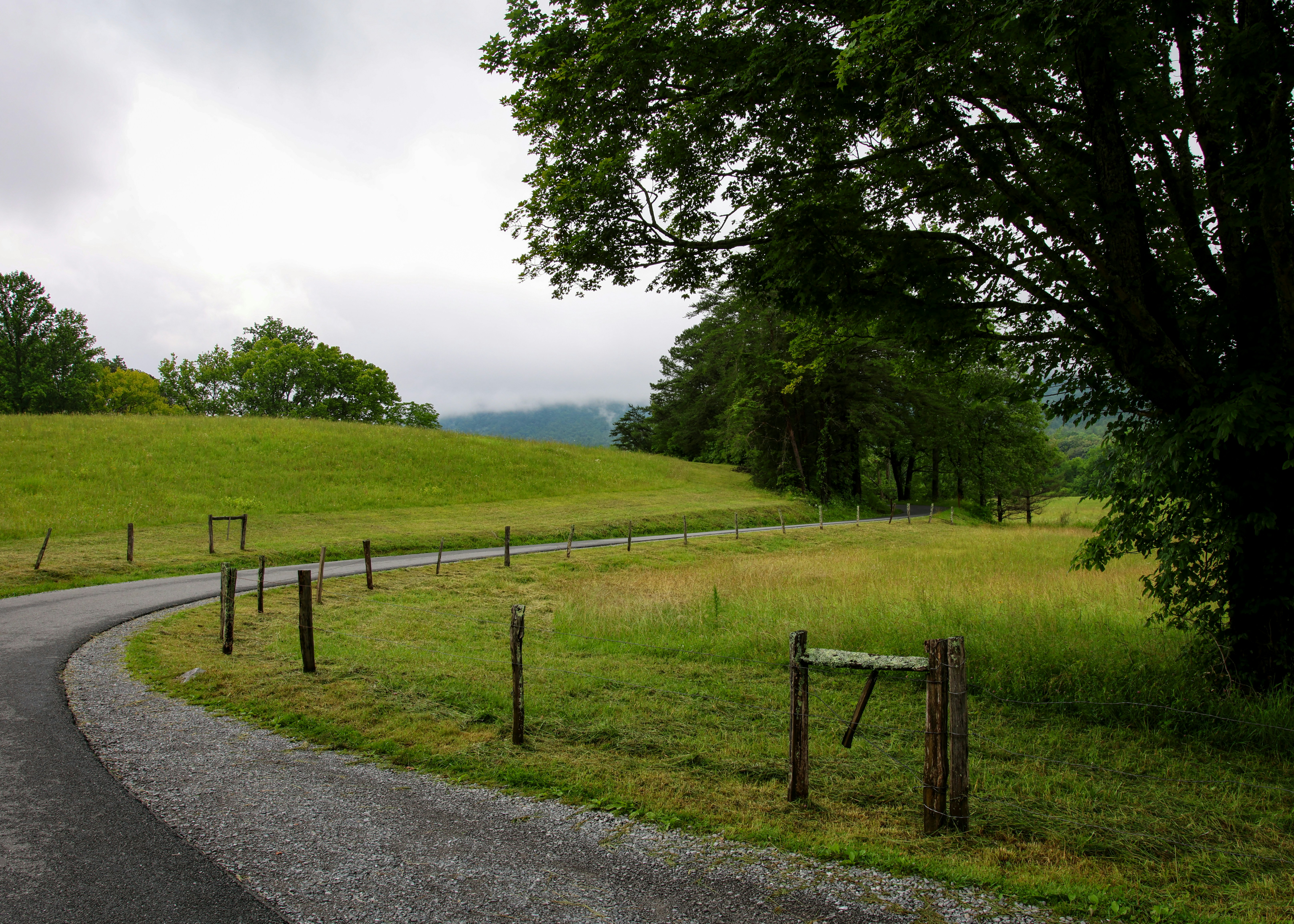 A winding road leads through a green meadow