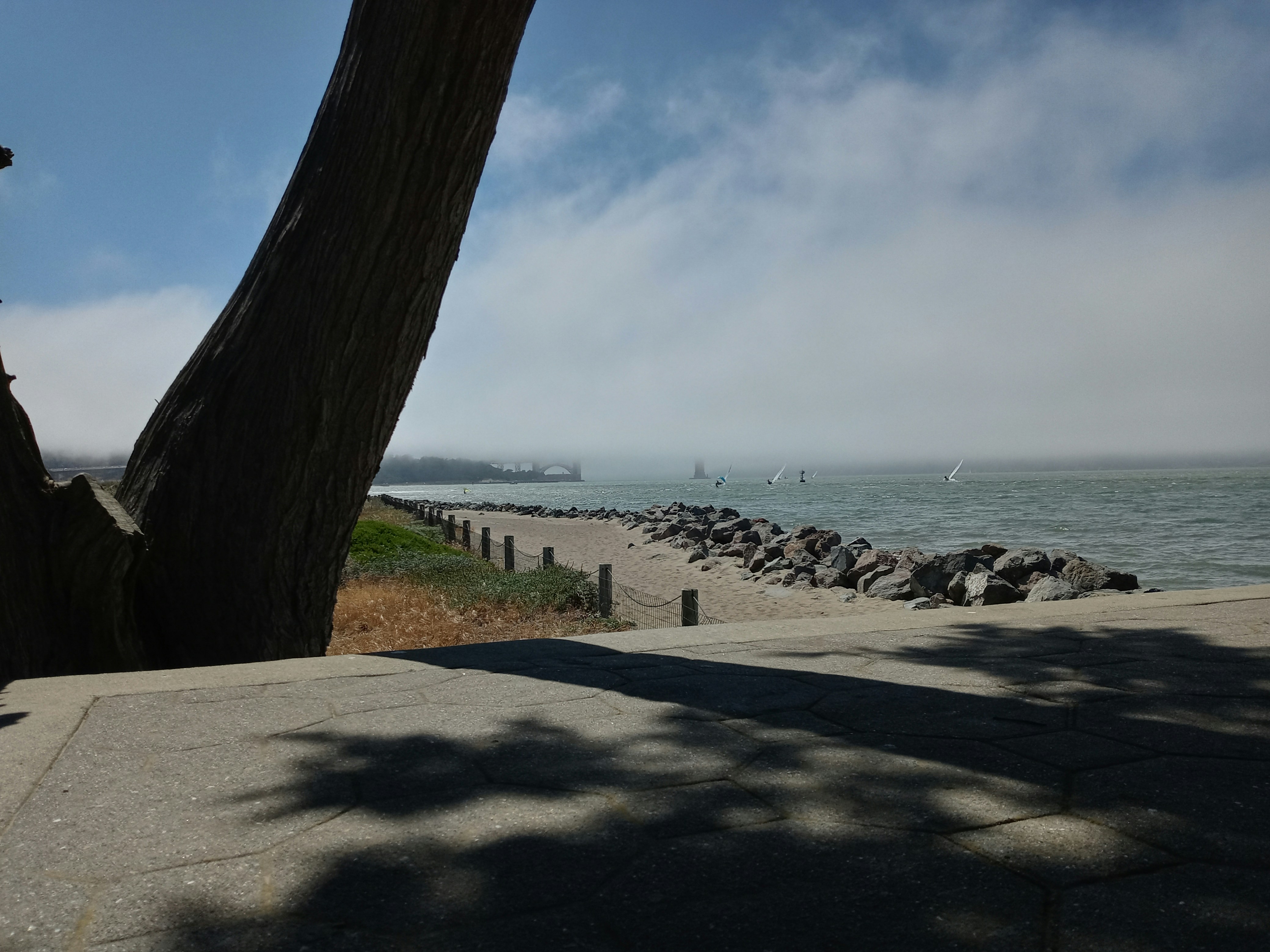 San Francisco: Altın Kapı'nın Büyüsü