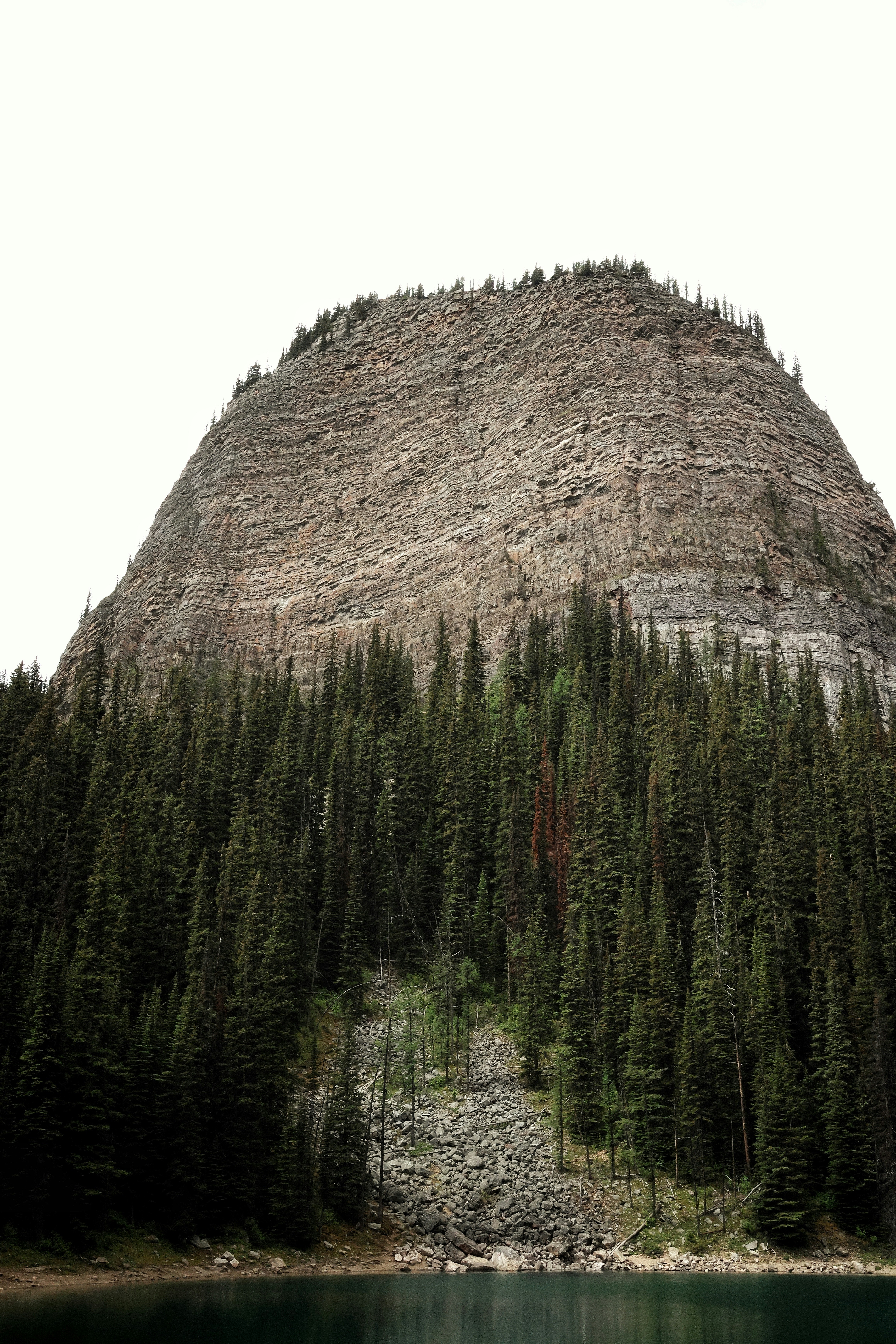 Photo by princeprajapati