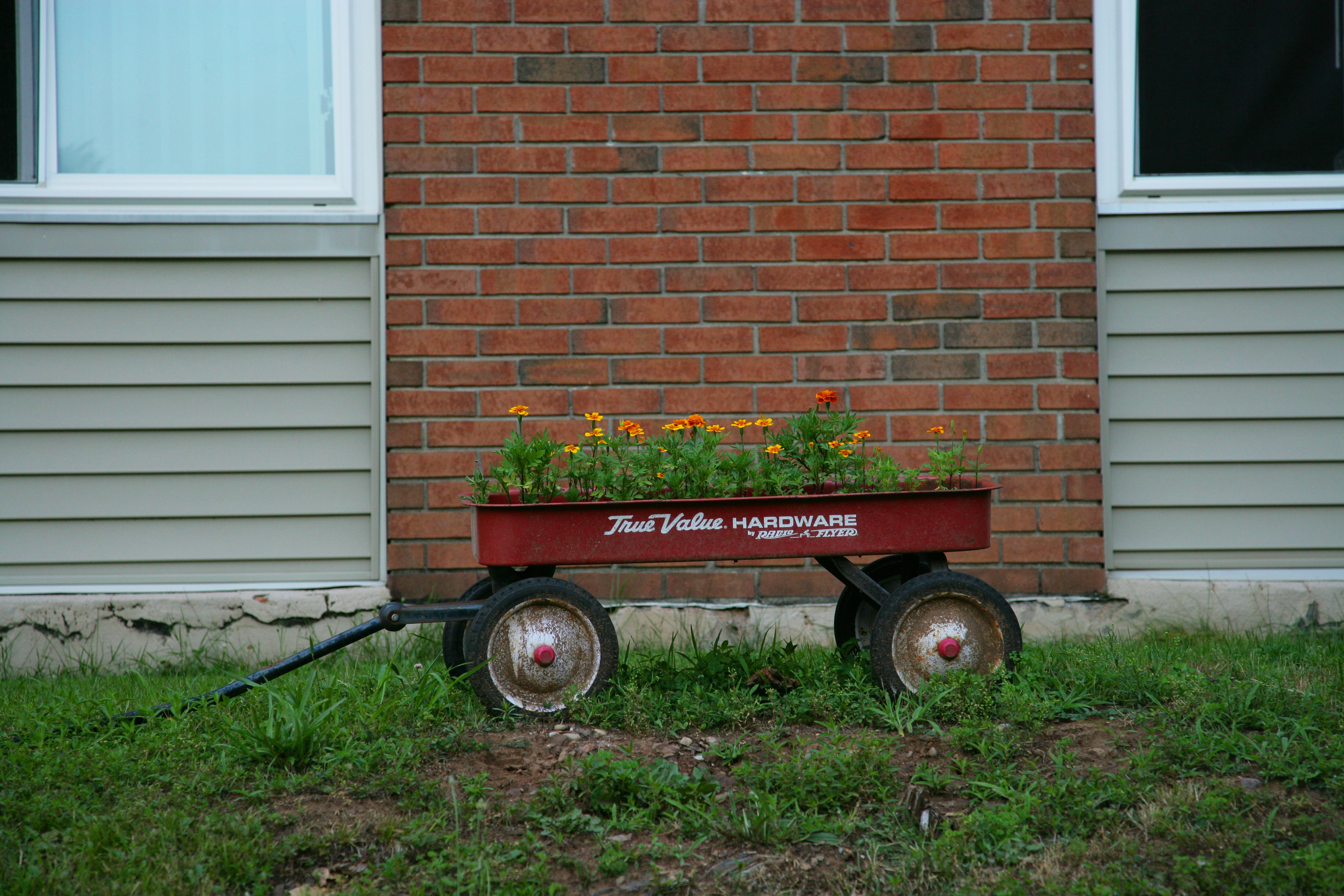 Flowers bloom from a red wagon planter.