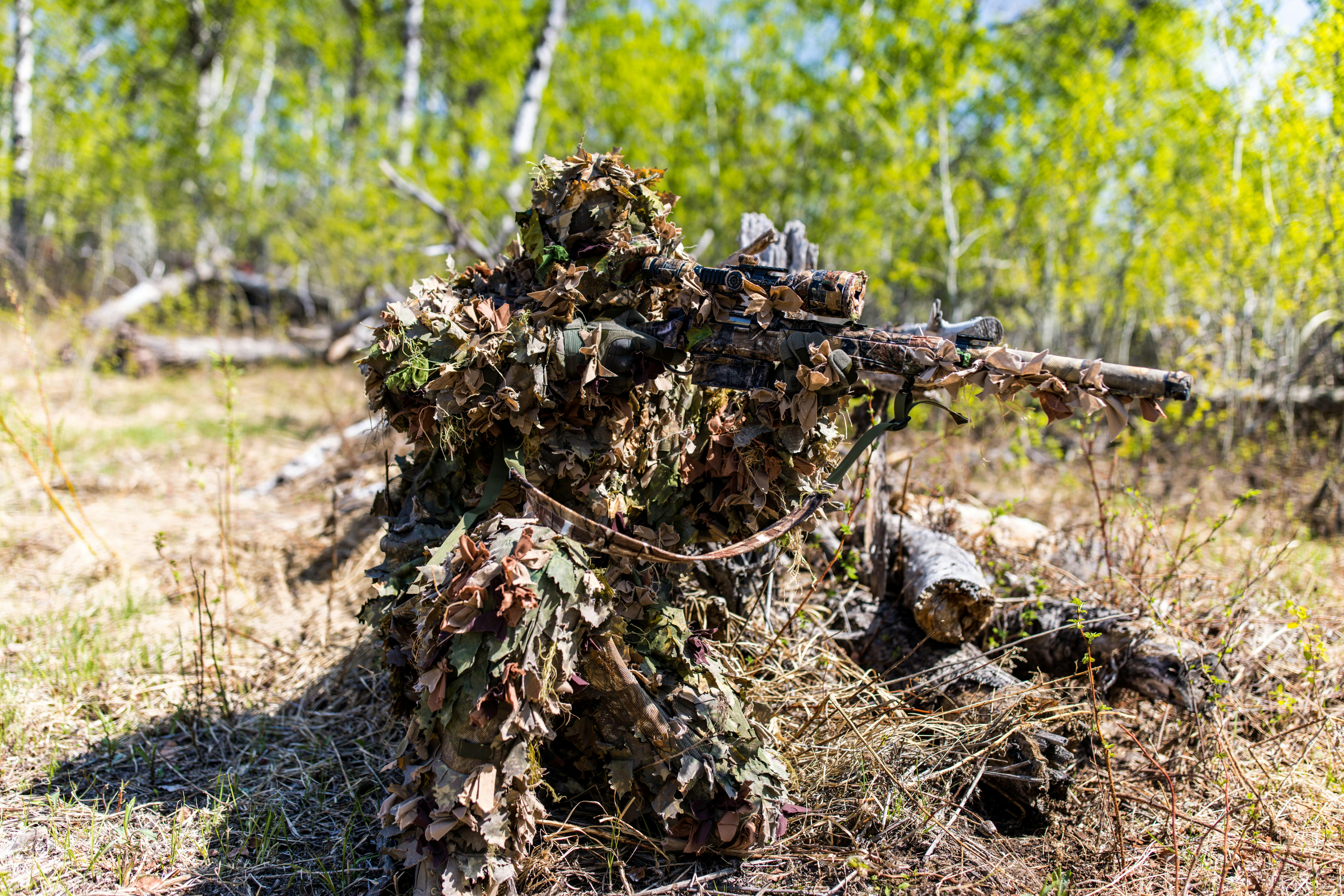 PRESENTAMOS 338 ARC, image size:3000x2001