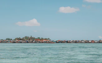 Coastal houses are built over water.