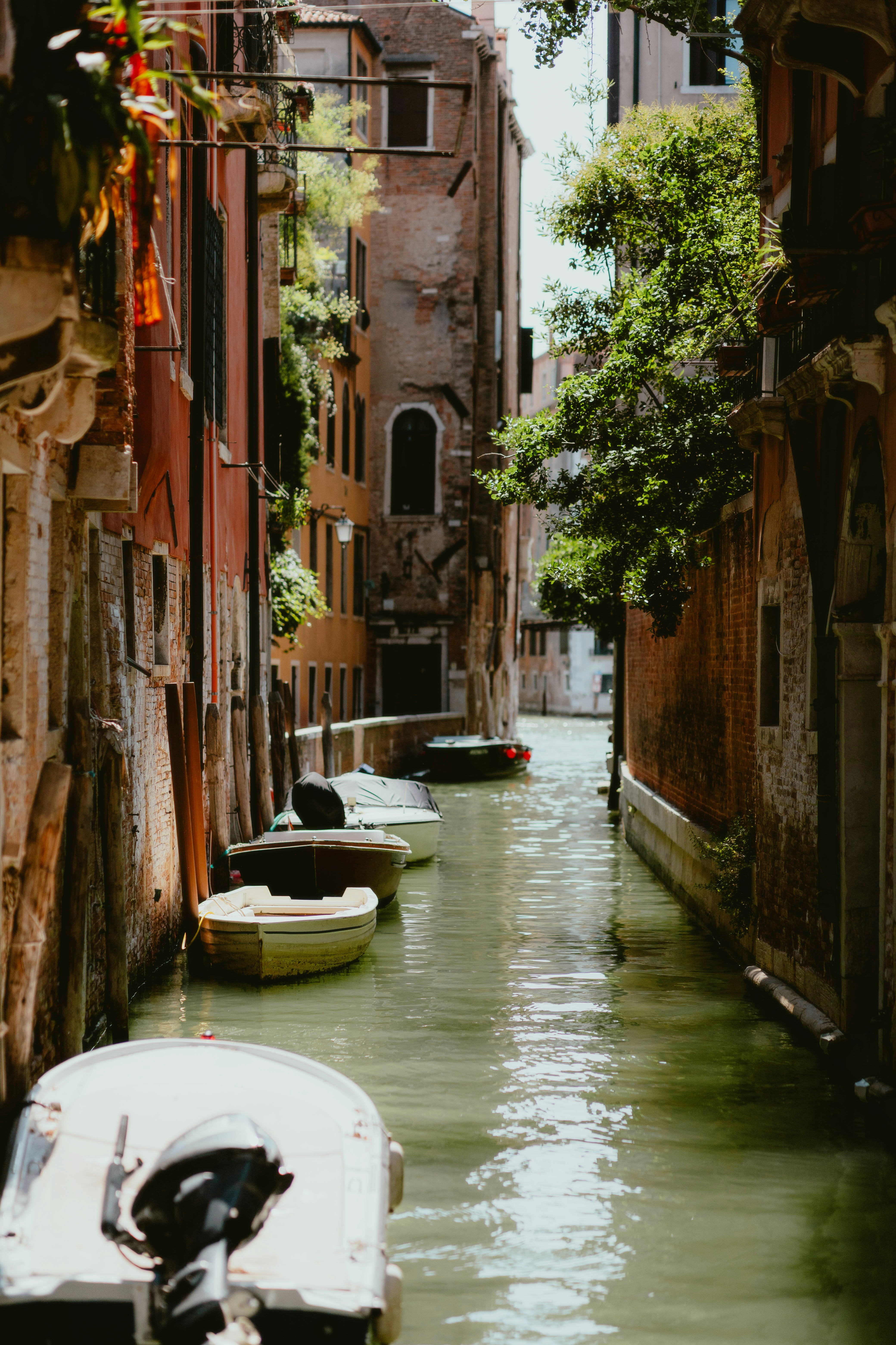 Photo by alingavriliuc