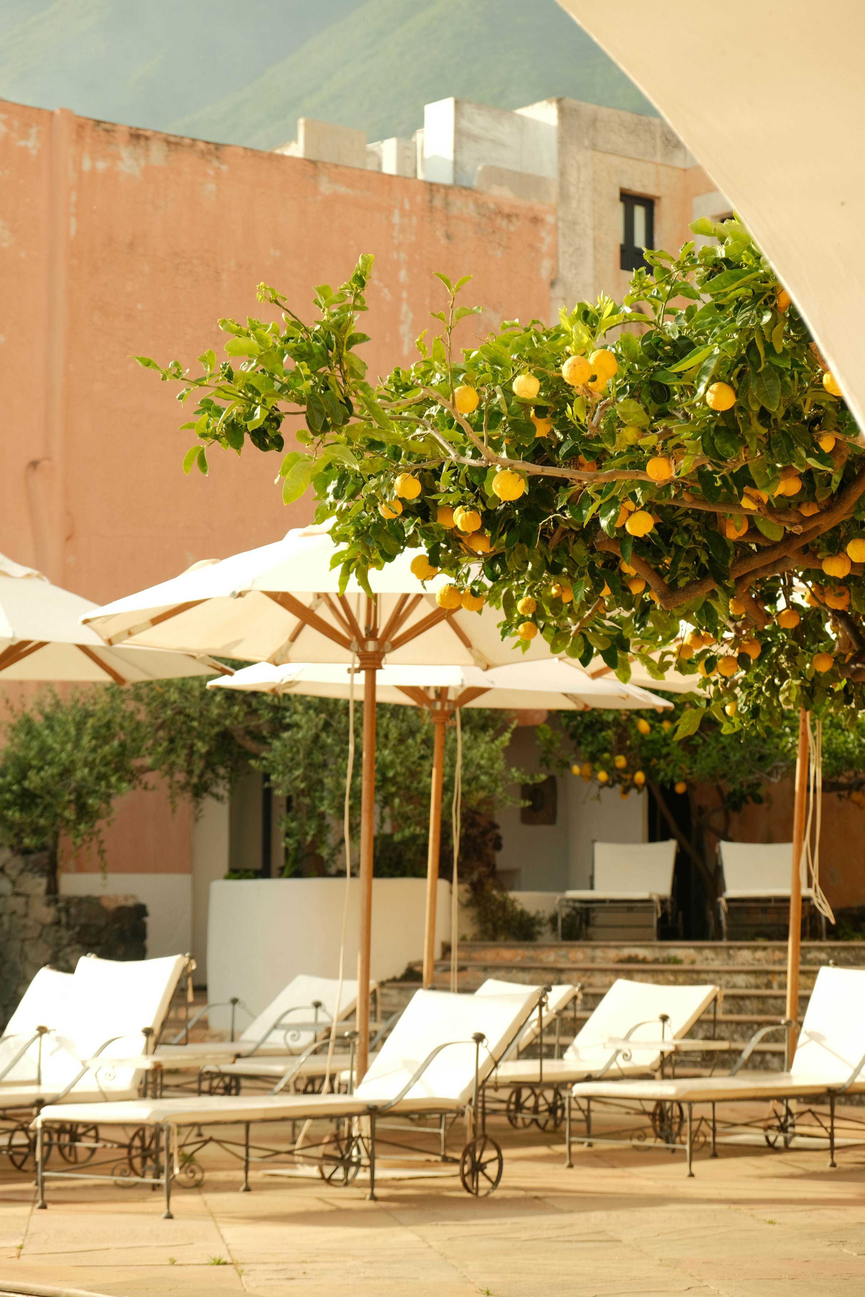 Photo by sarahabilova