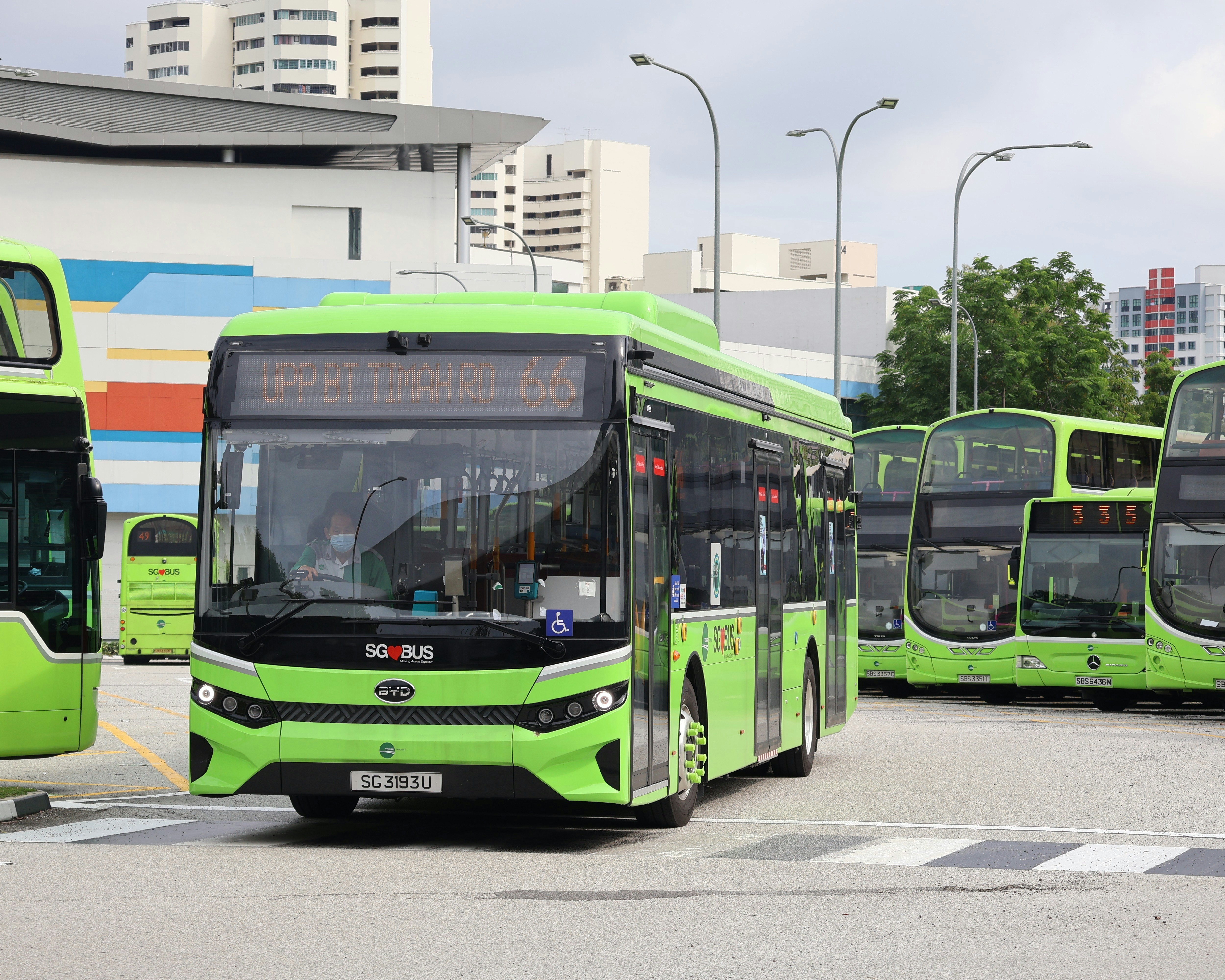 Green buses parked at a public transportation hub.