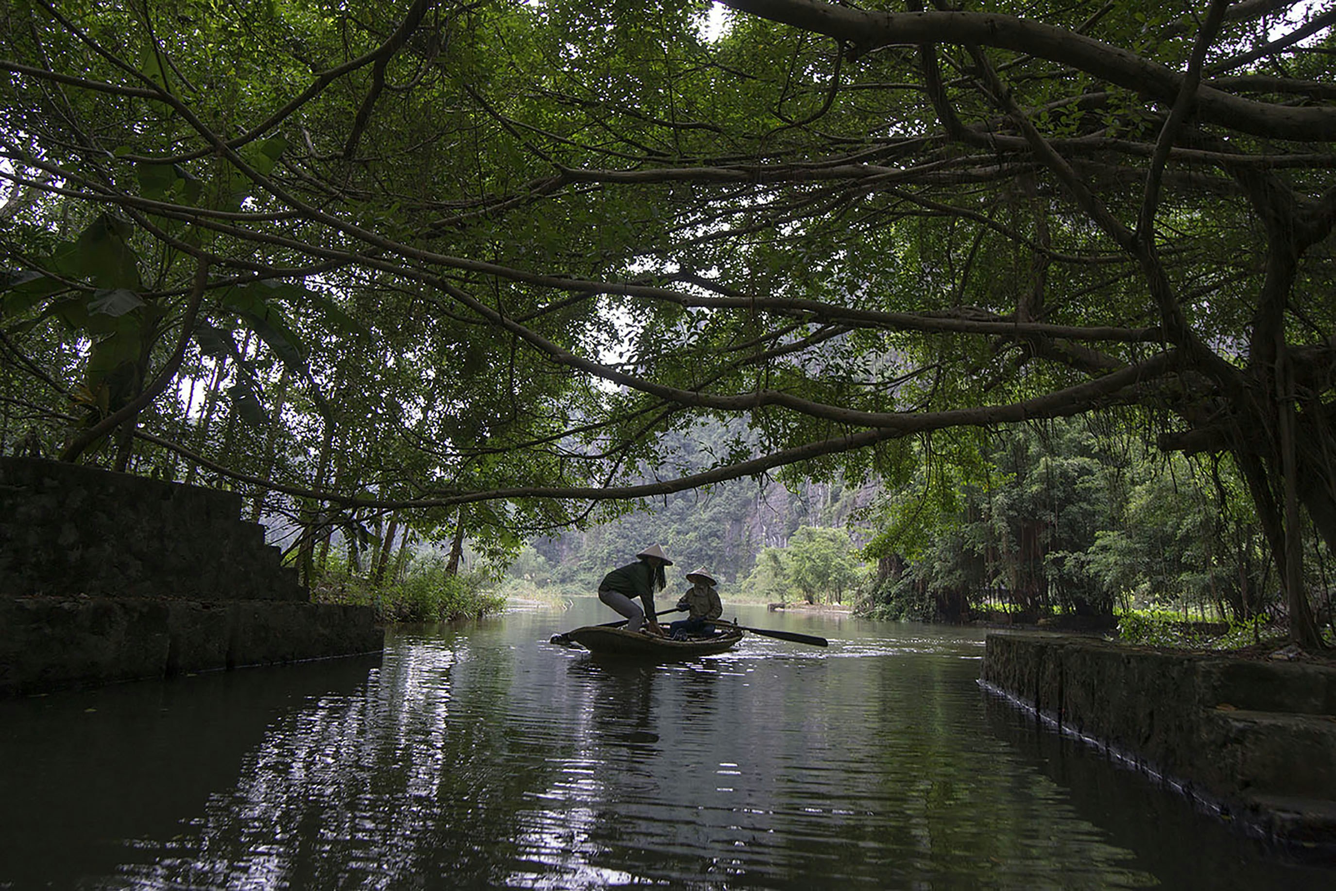 People are boating on a river under overhanging trees.