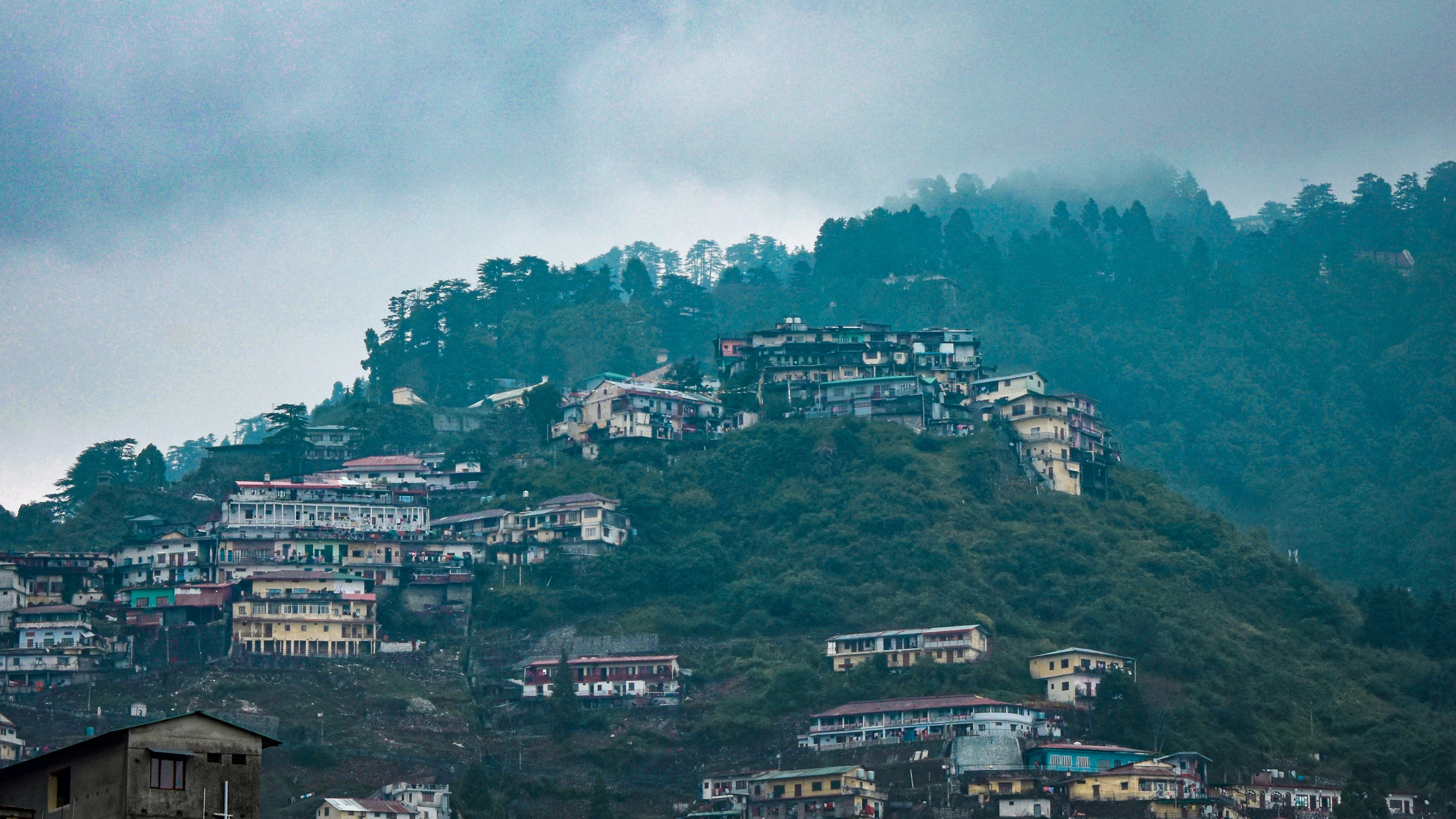 Photo by siddhhartha