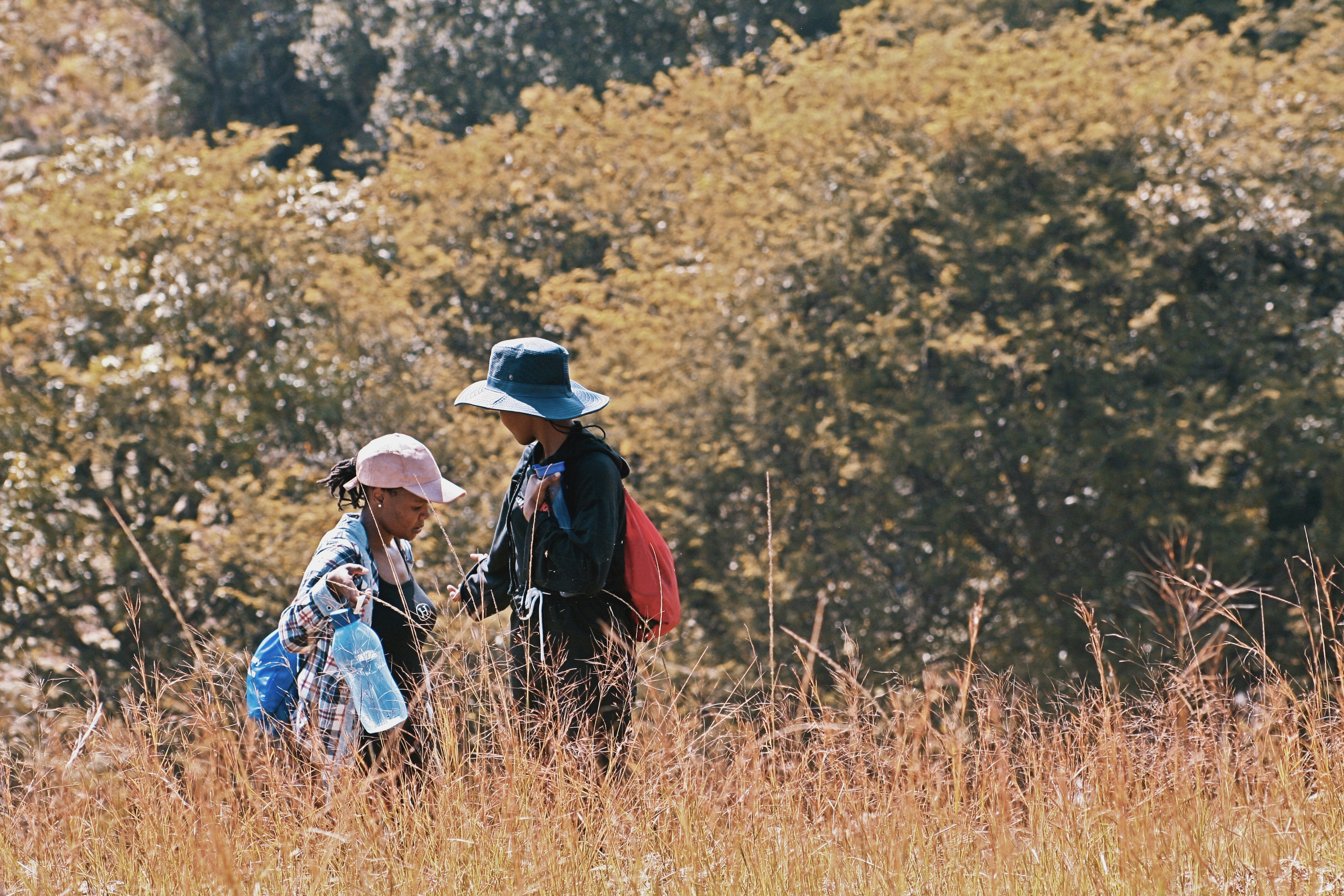 Two children walk through tall grass and bushes.