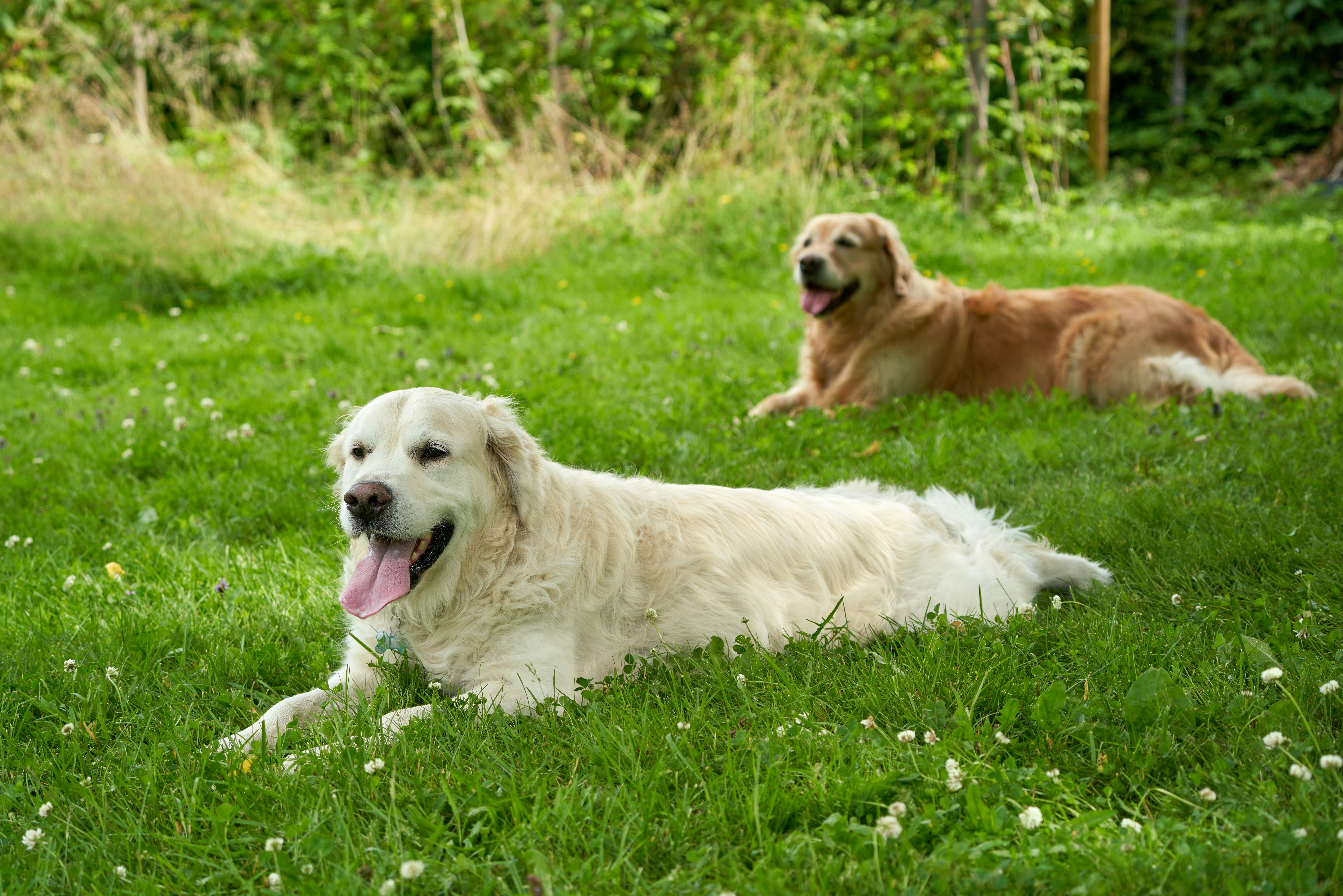 Photo by davotibarna