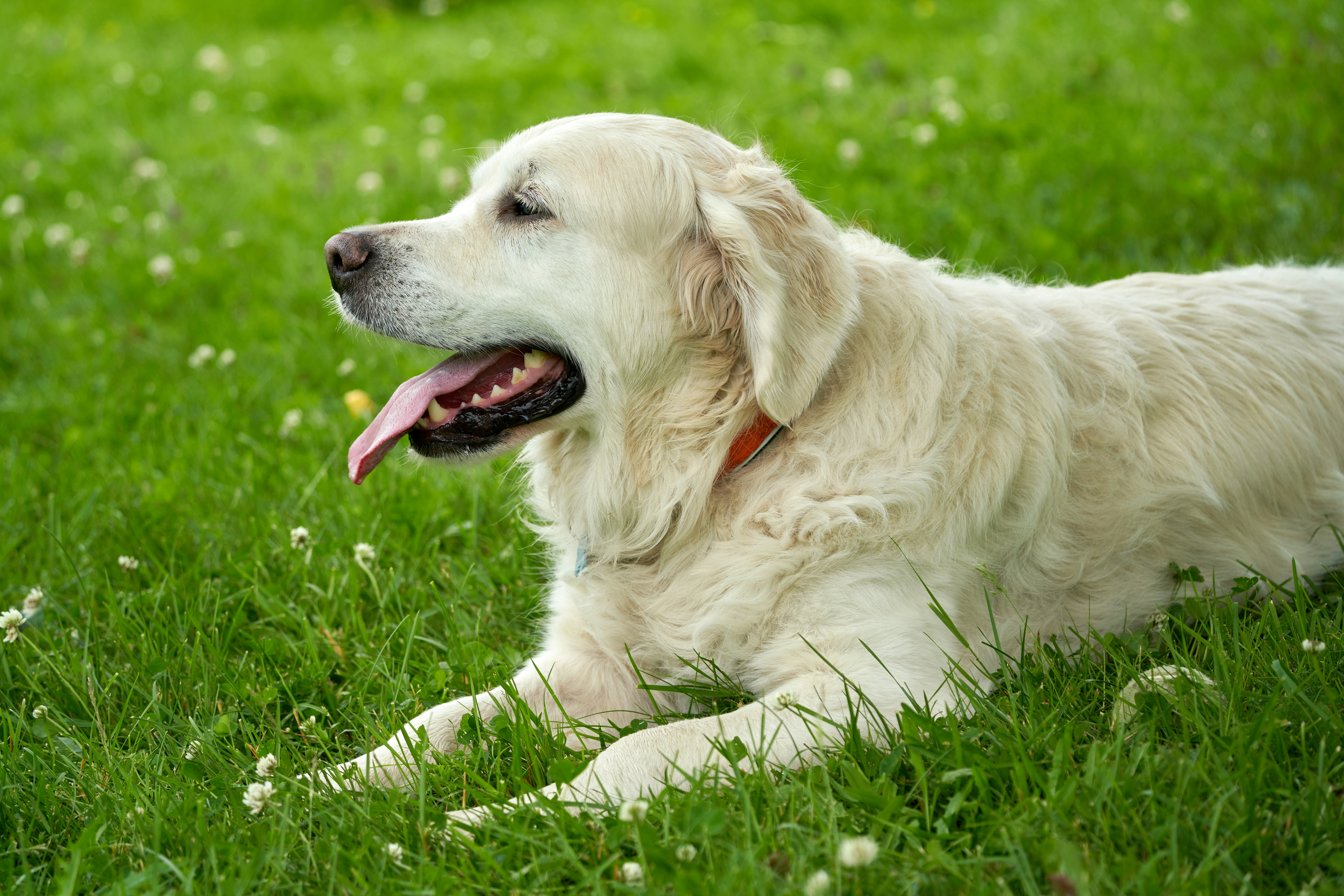 Photo by davotibarna