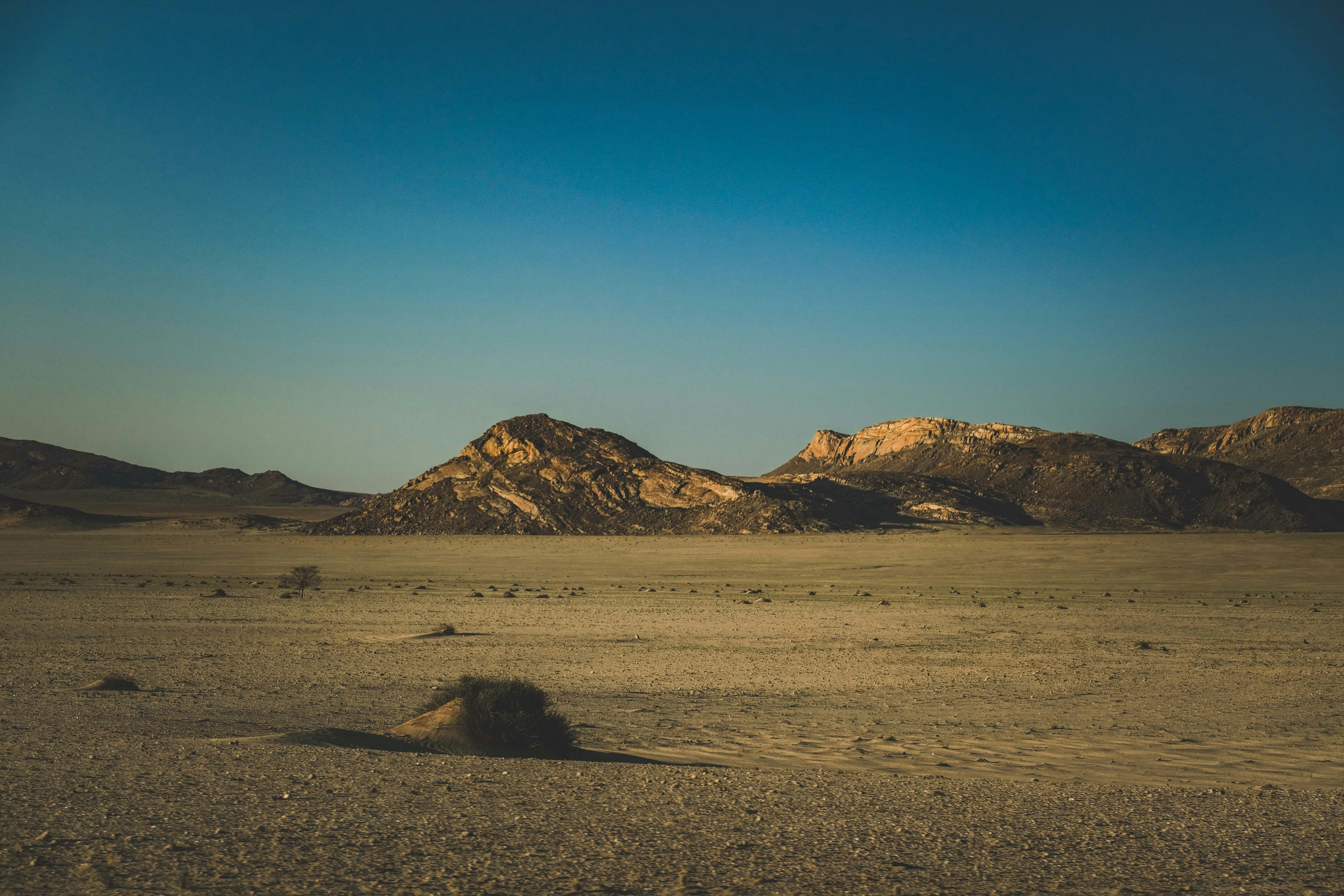 Photo by francesco_ungaro