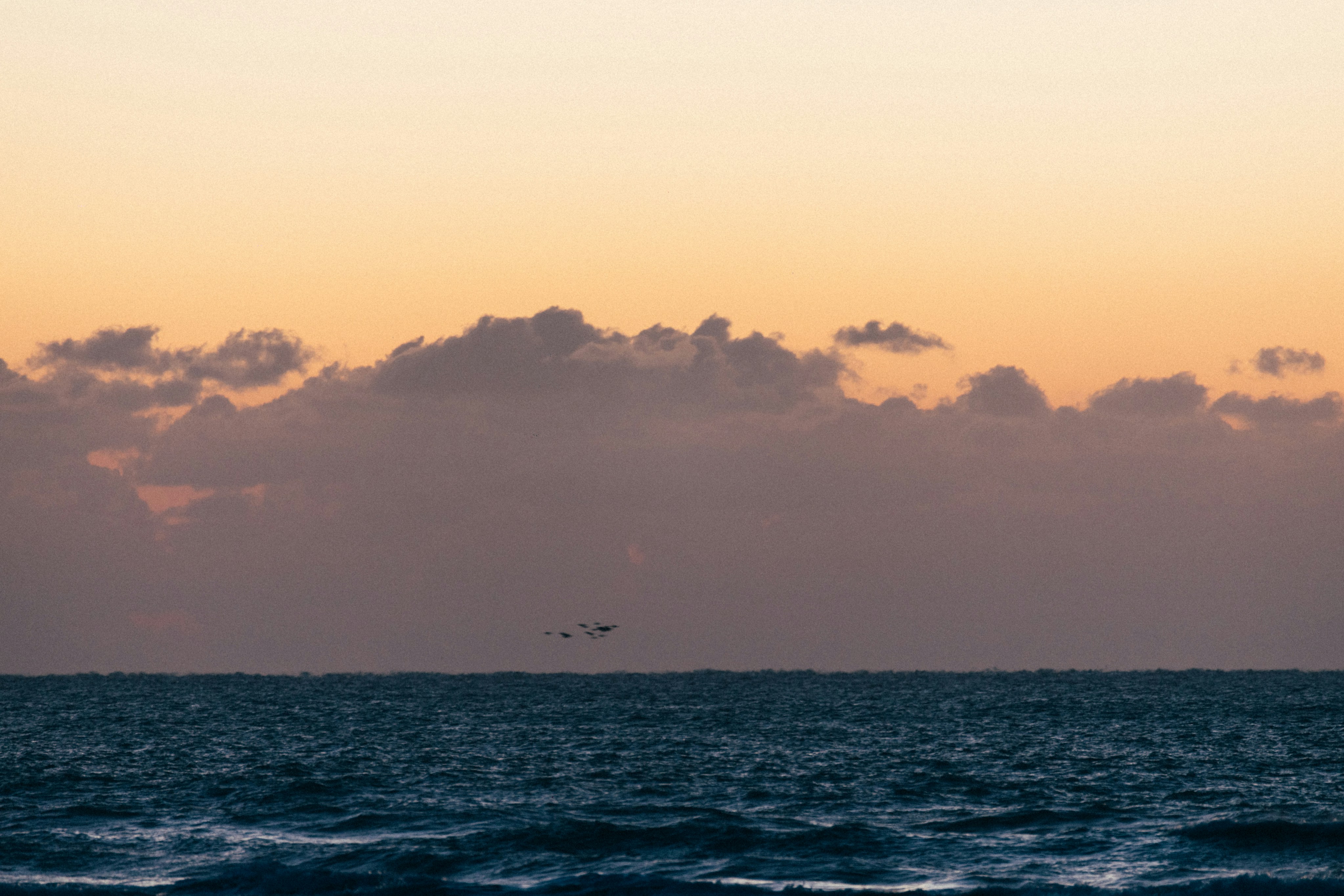 Photo by tsuyoshikozu