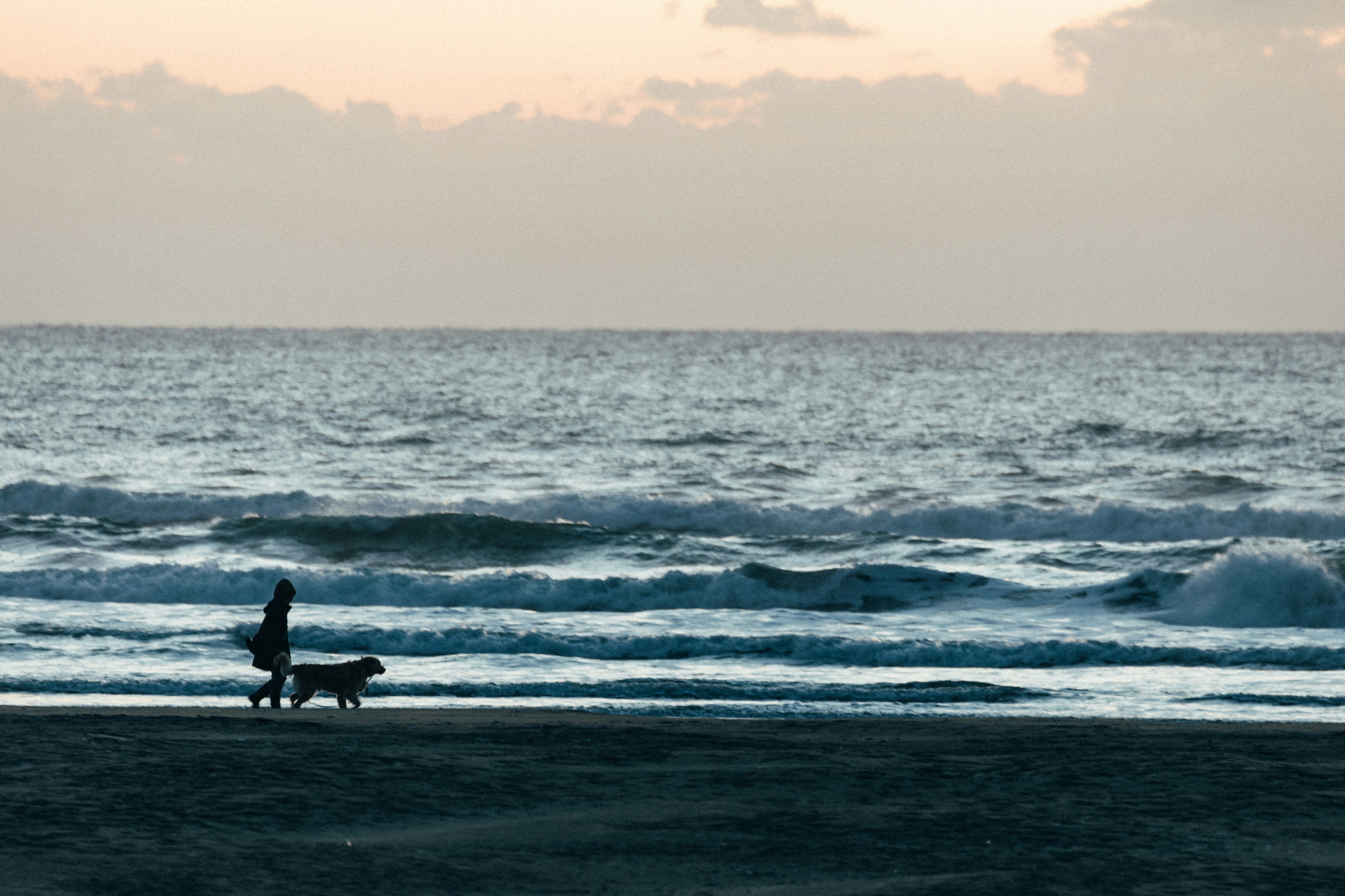 Photo by tsuyoshikozu