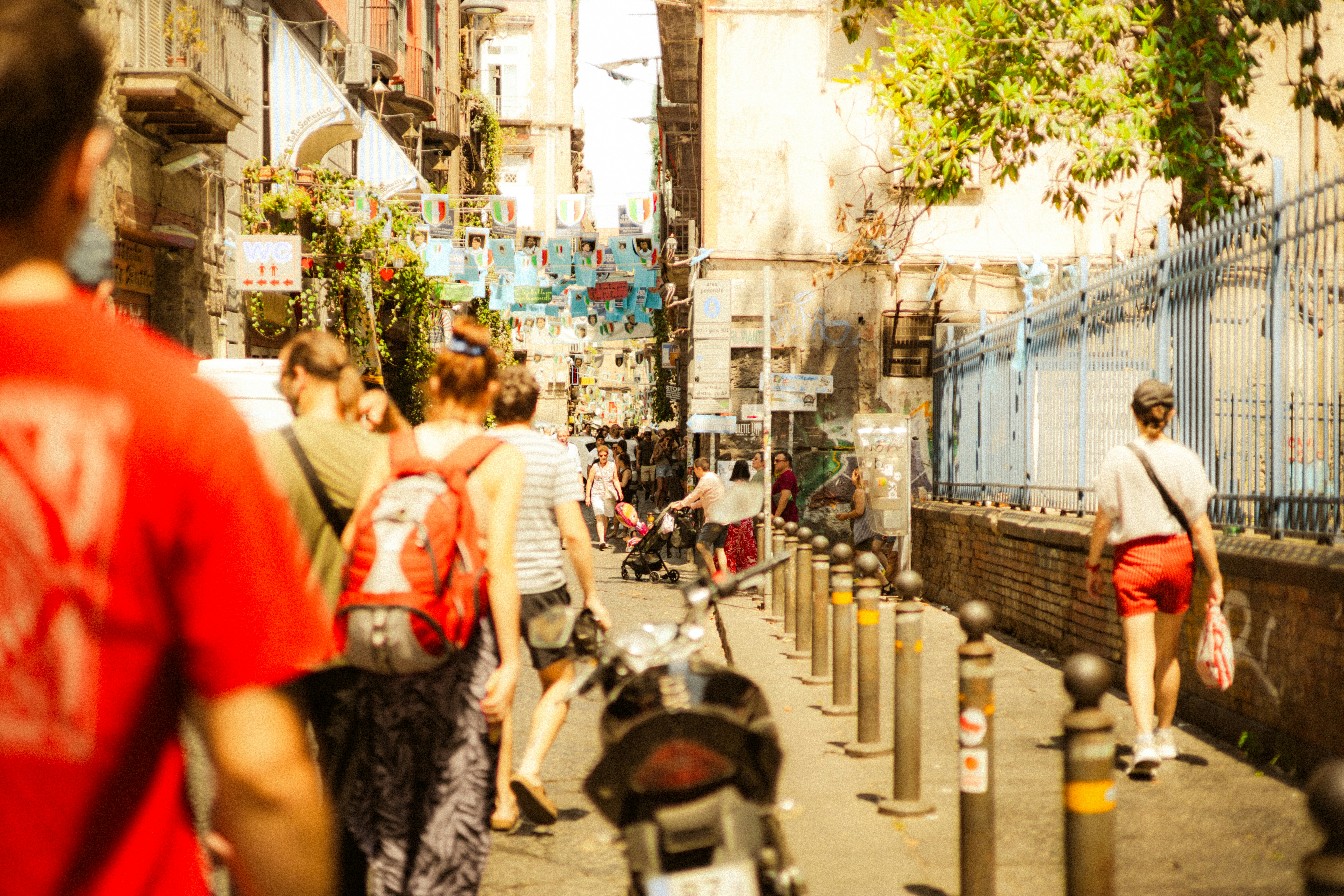 Photo by nicotraina_151