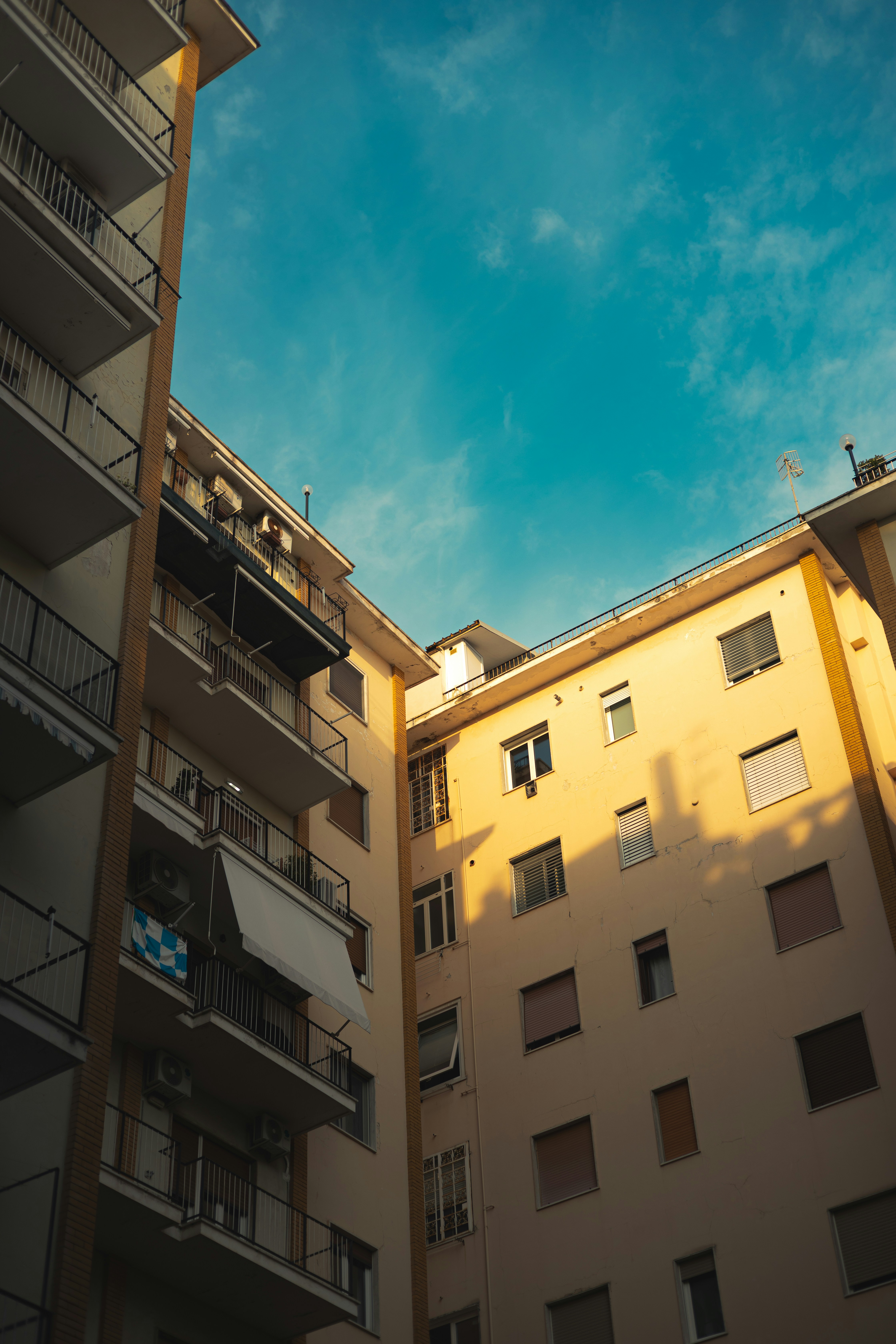 Photo by nicotraina_151