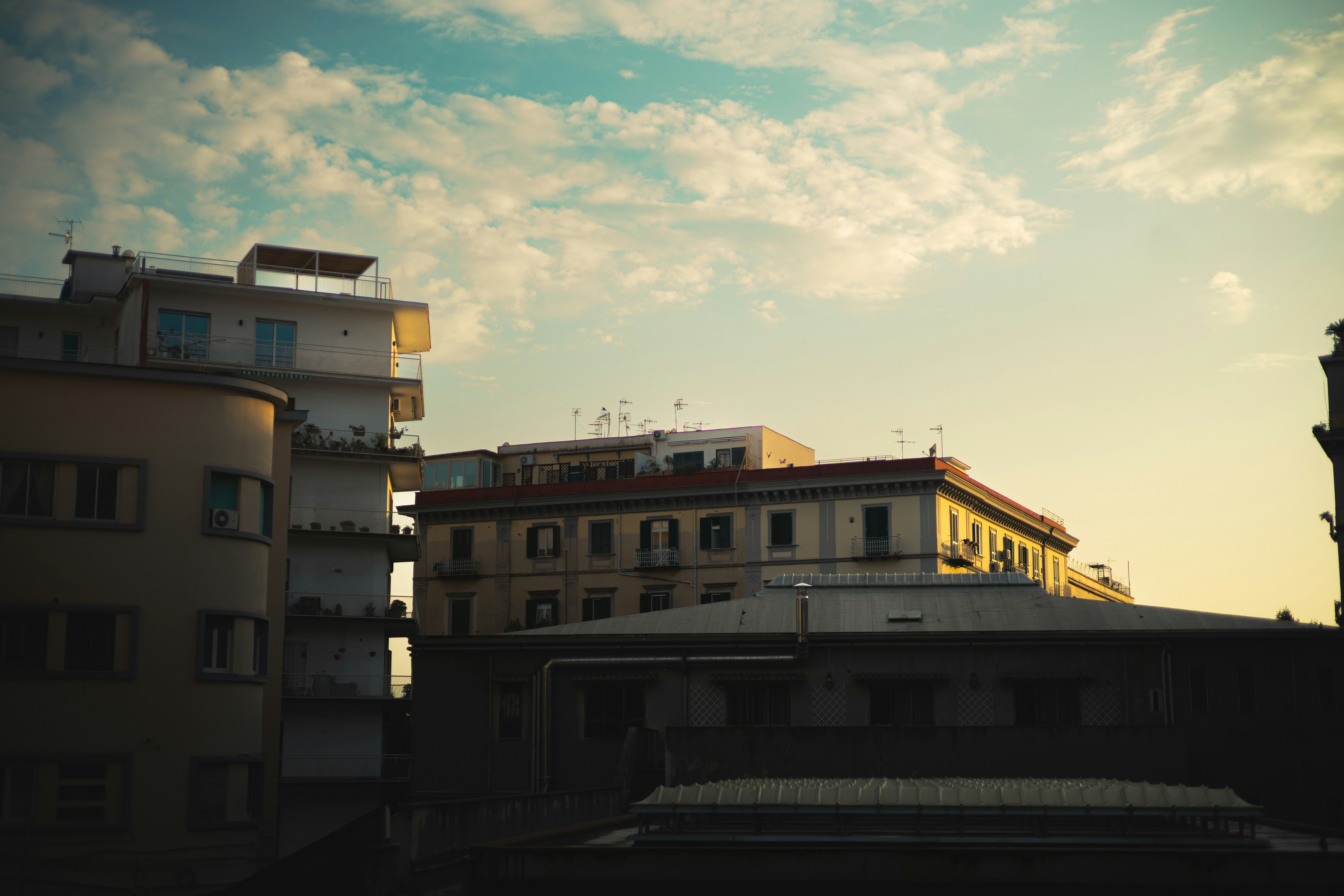 Photo by nicotraina_151