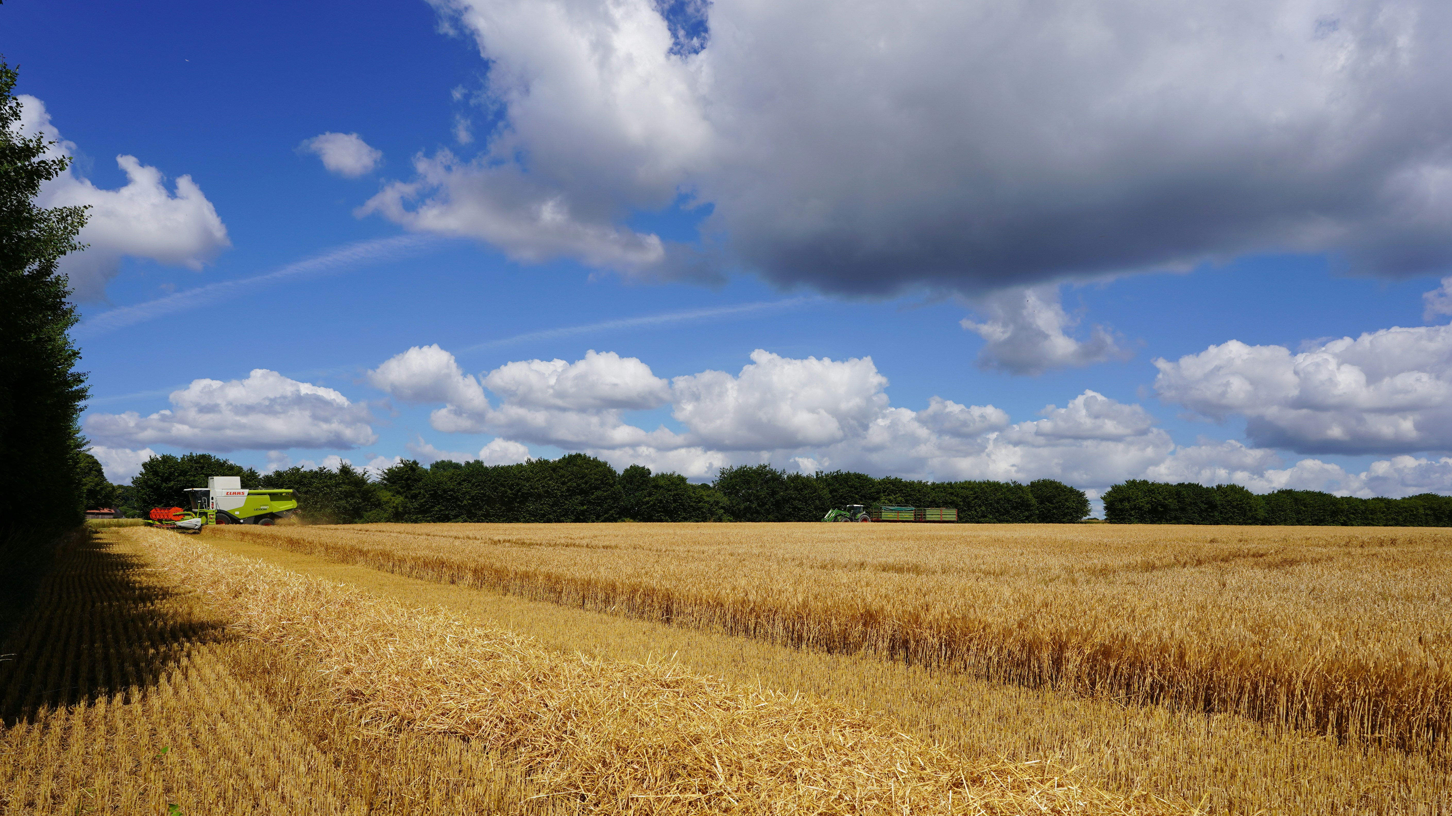 Photo by hamburgmeinefreundin