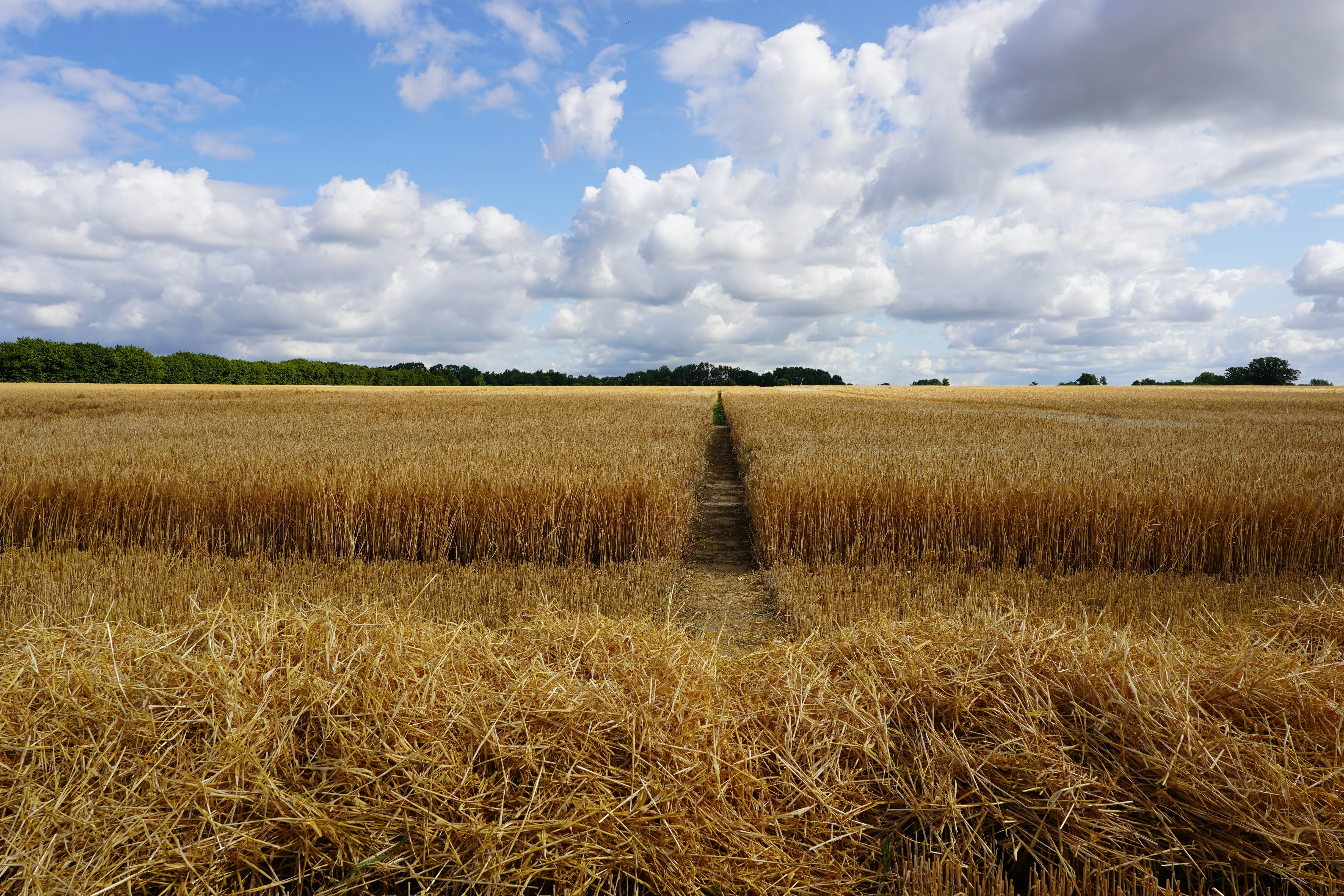 Photo by hamburgmeinefreundin