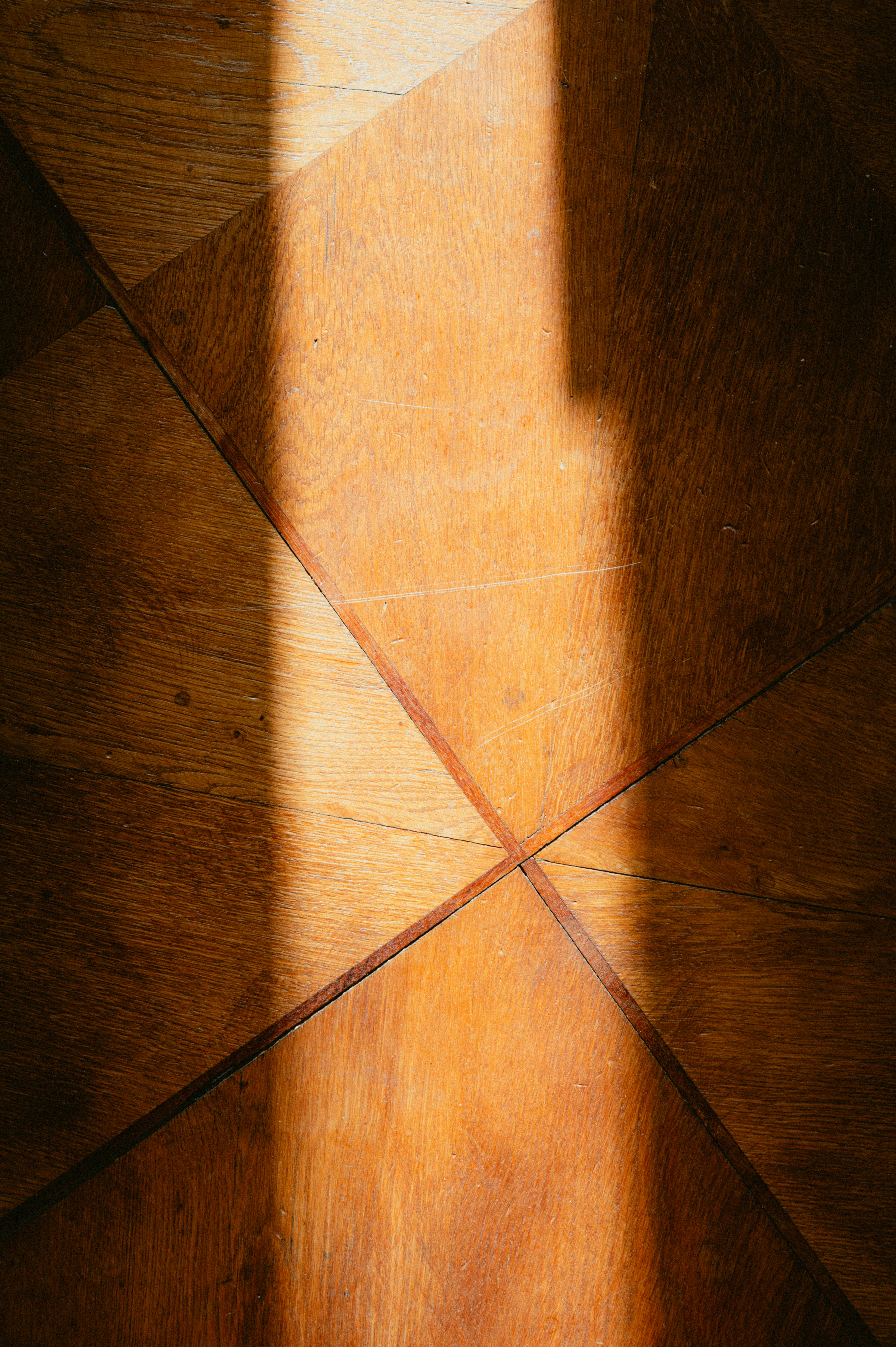 Photo by luca_severin