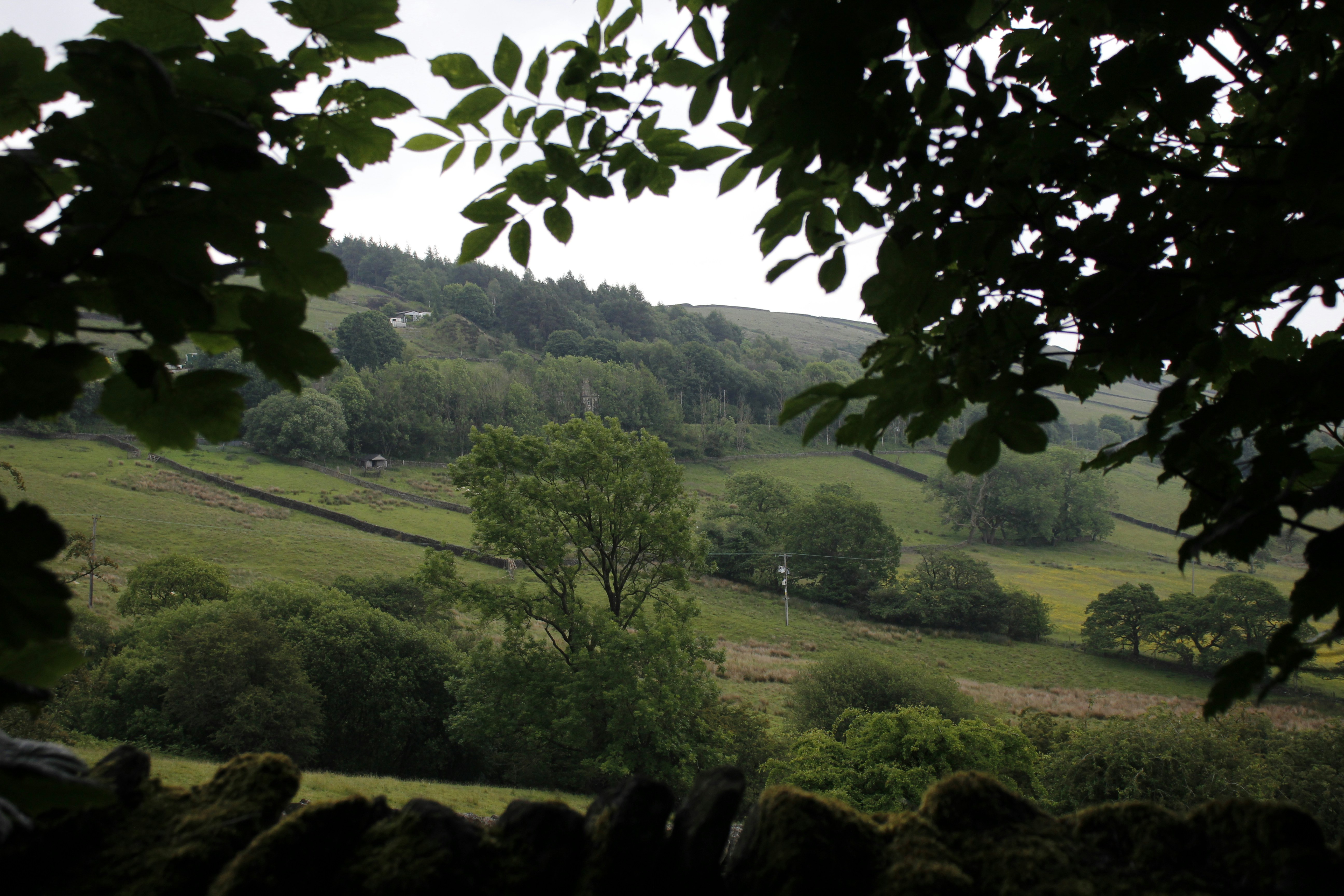 Photo by bloominghyacinth