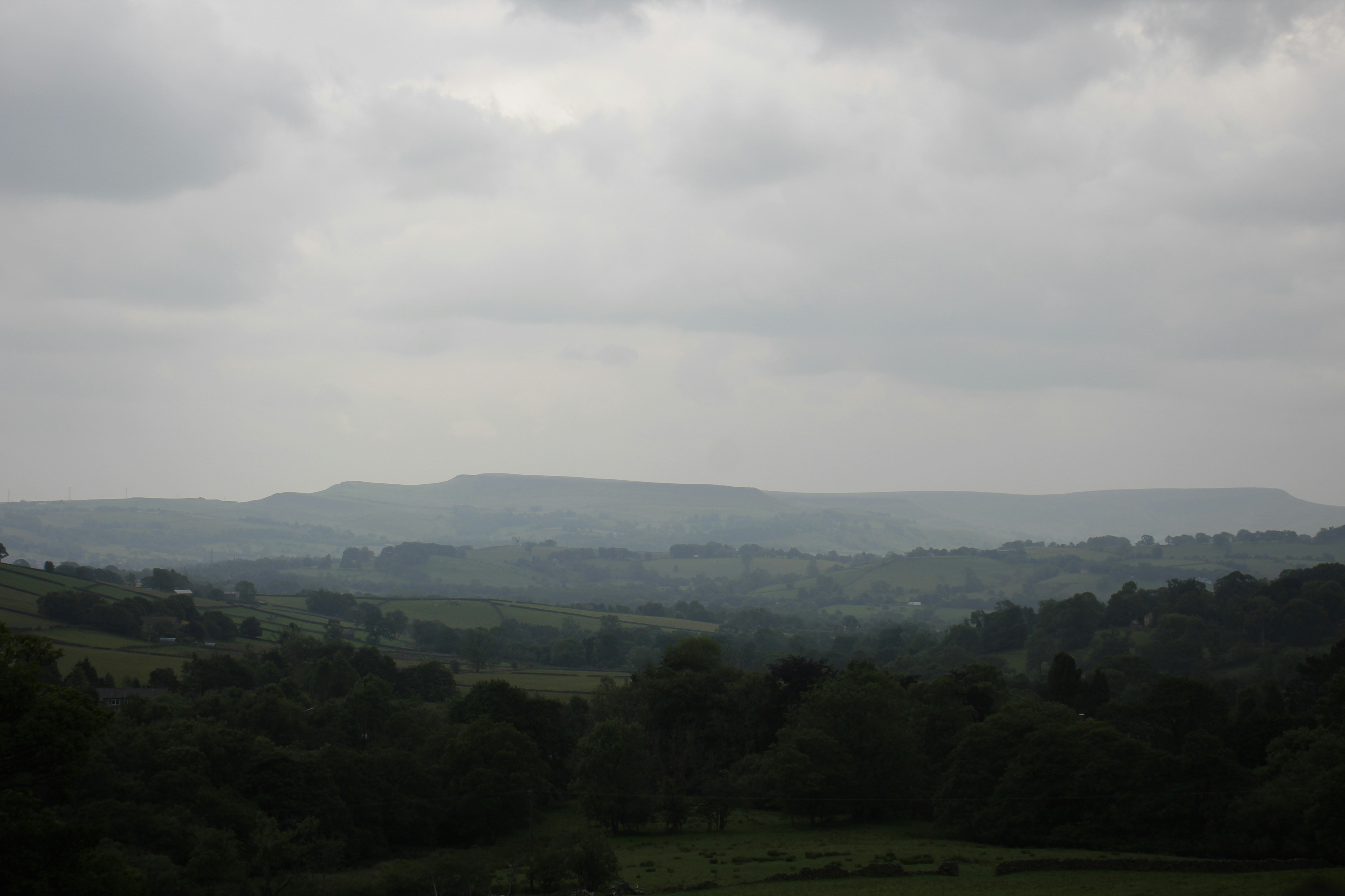 Photo by bloominghyacinth