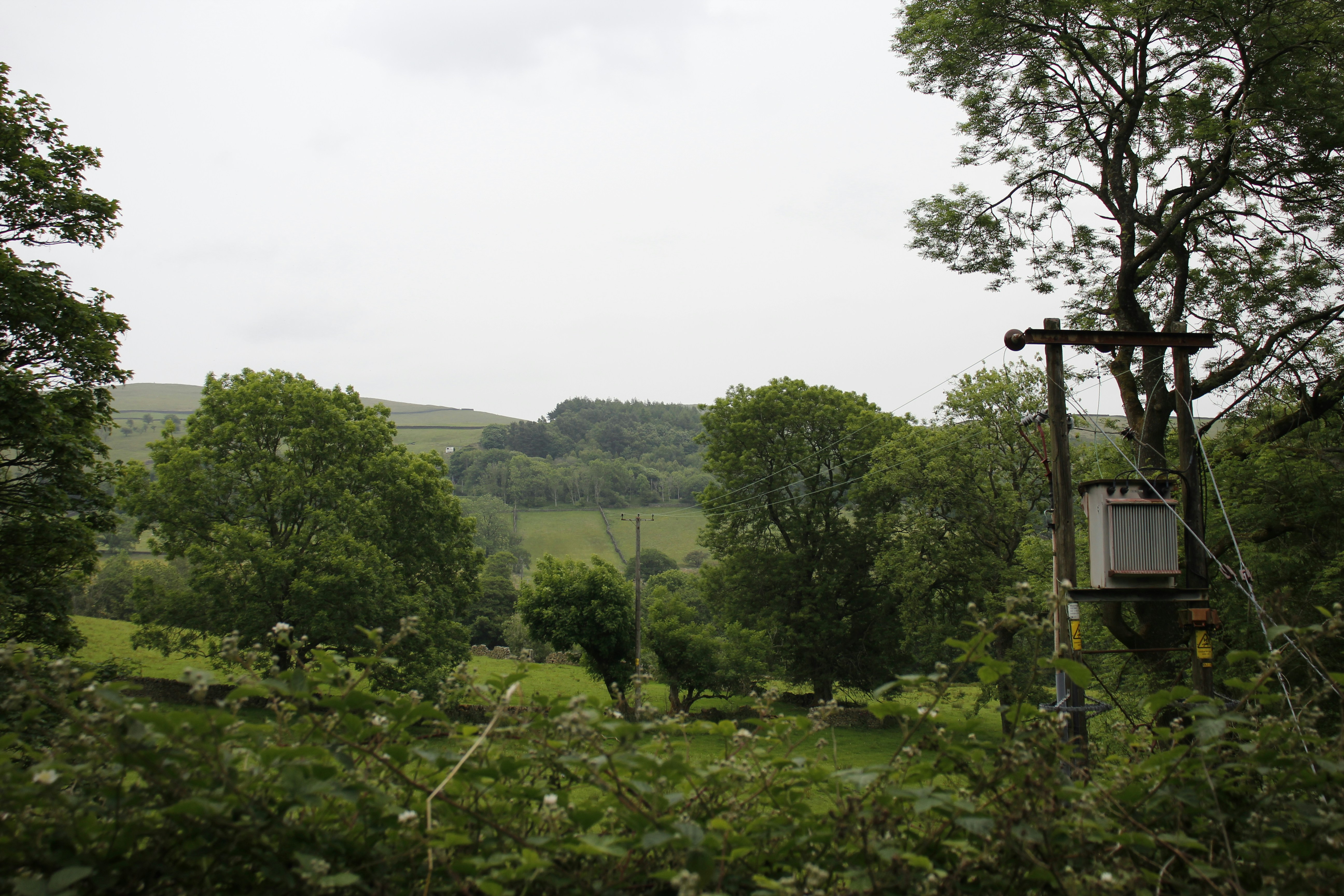 Photo by bloominghyacinth